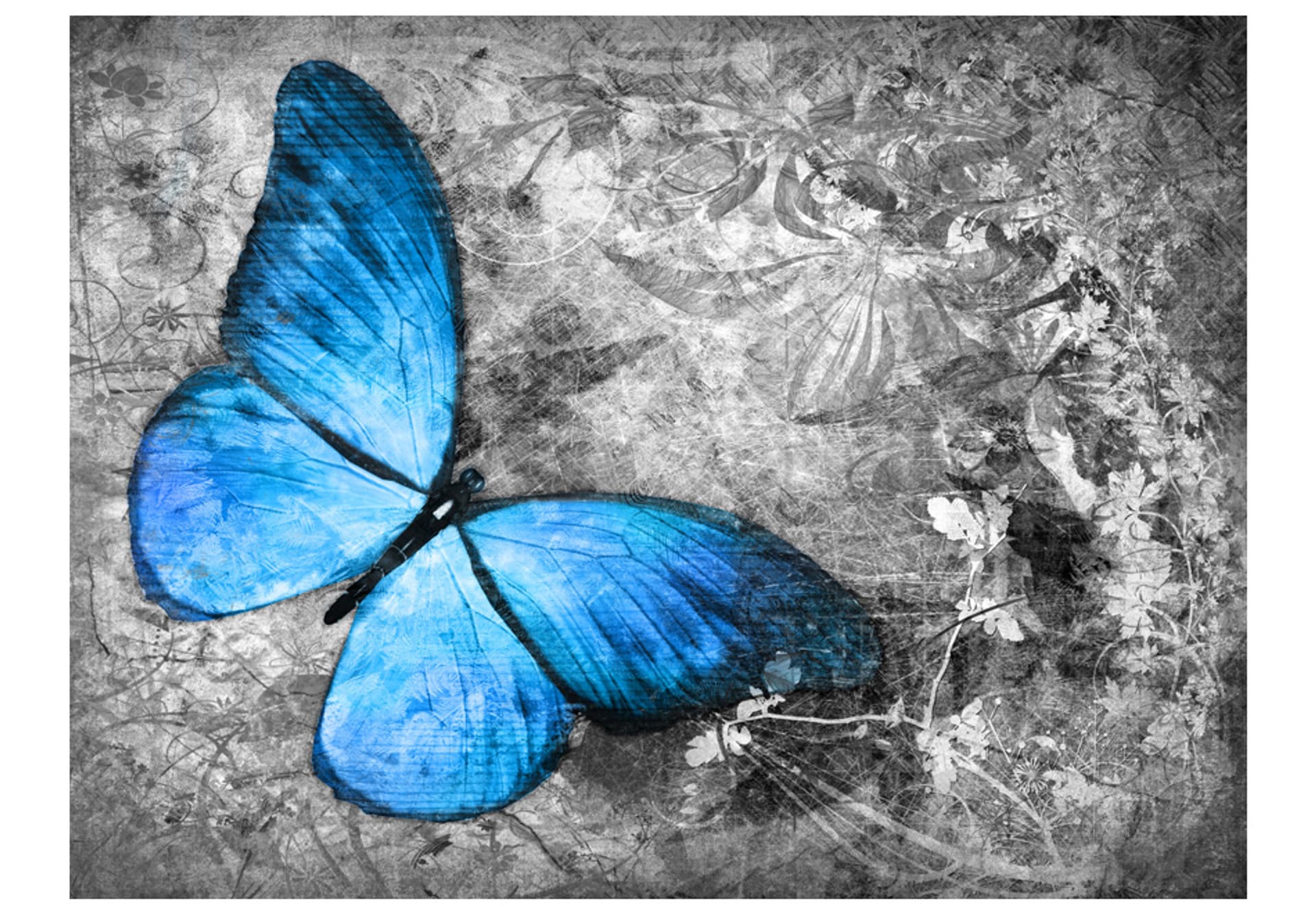 

Fototapeta - Blue butterfly (rozmiar 200x154)