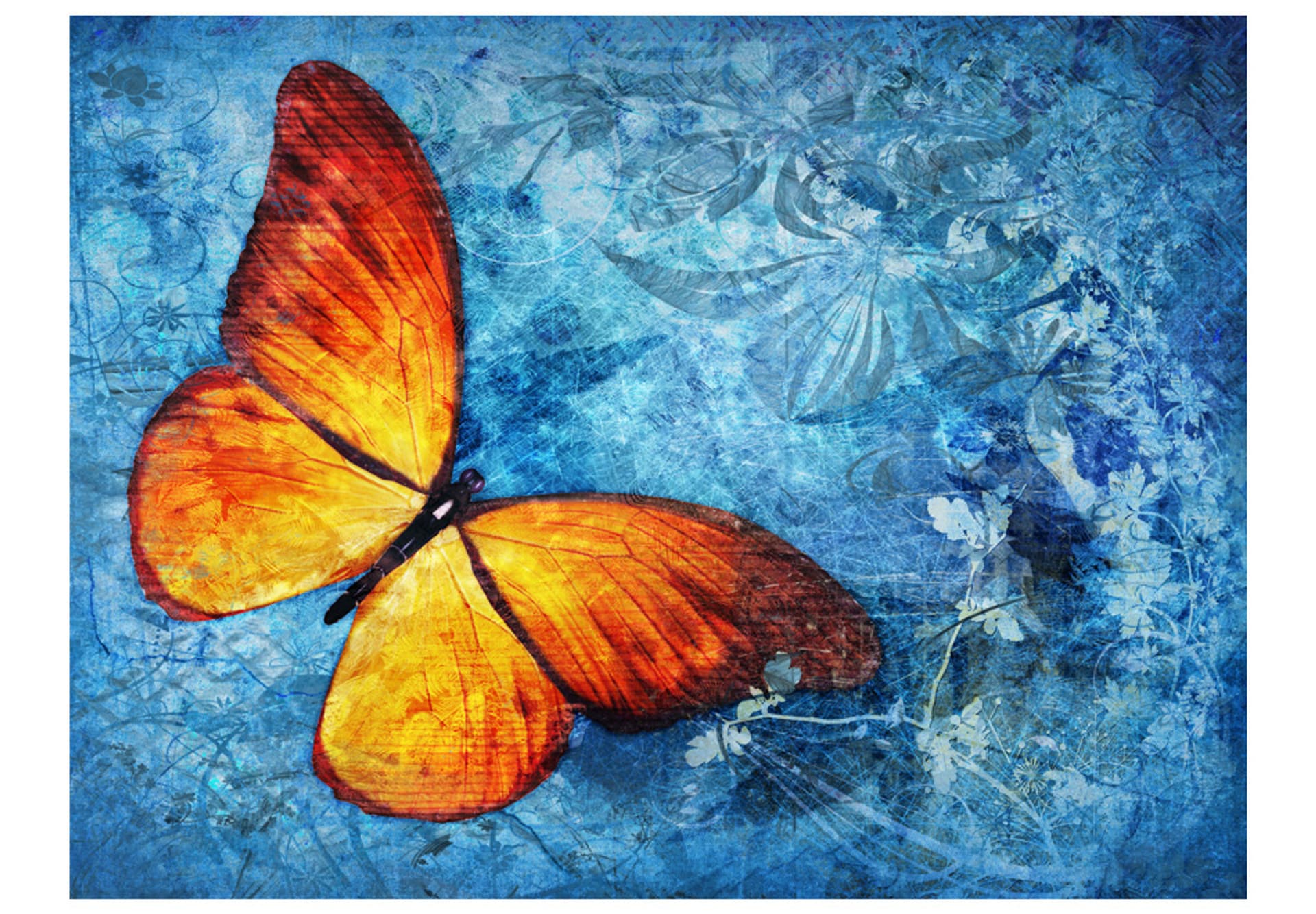 

Fototapeta - Fiery butterfly (rozmiar 400x309)