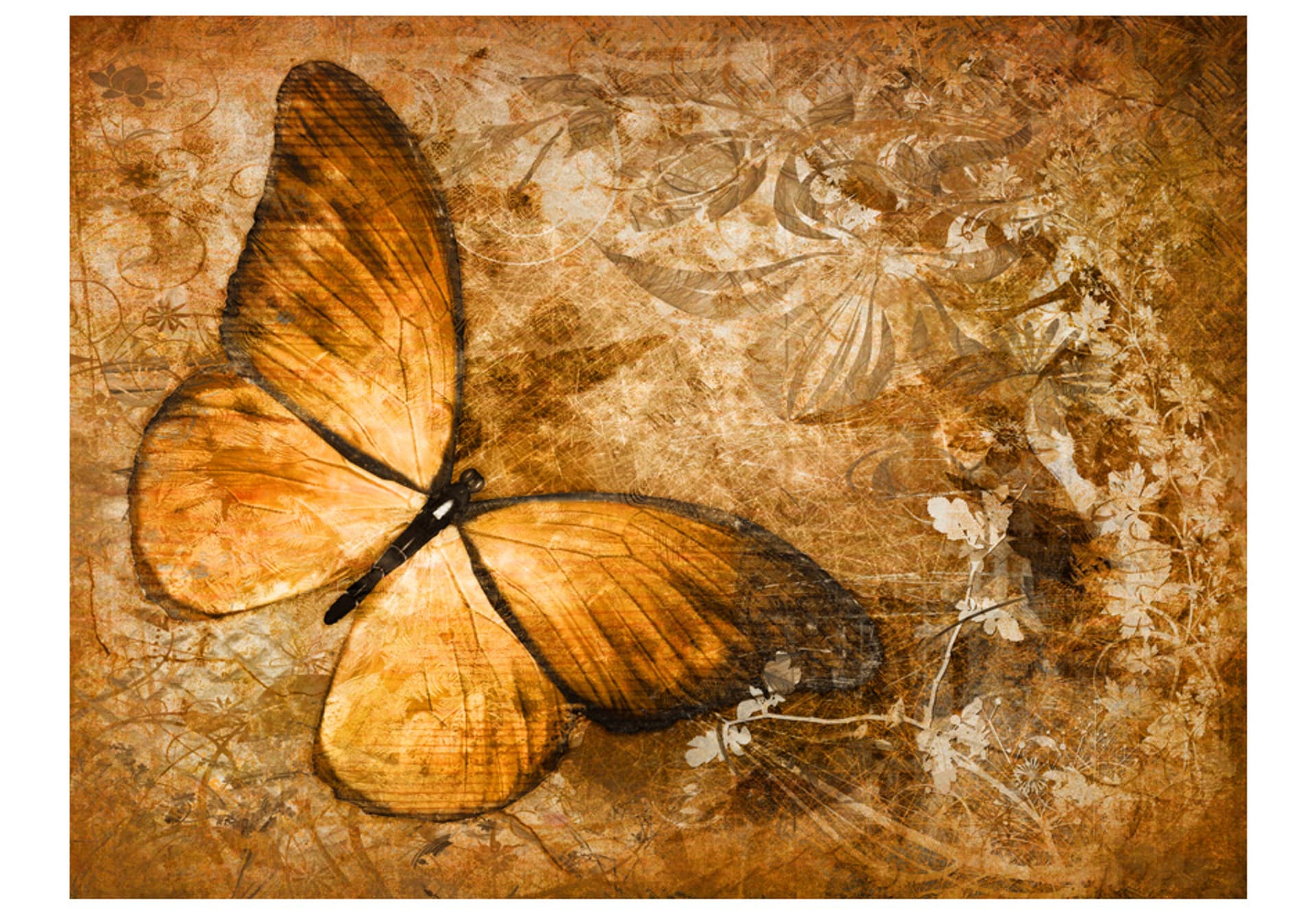 

Fototapeta - motyl (sepia) (rozmiar 300x231)