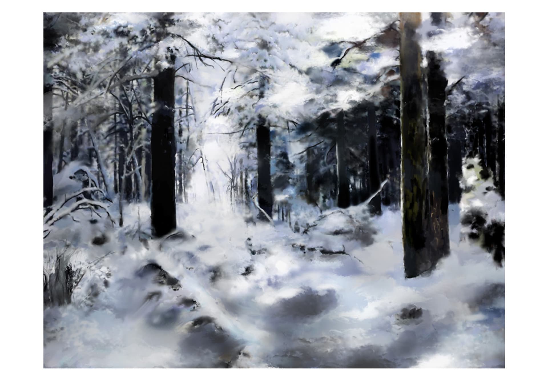

Fototapeta - Zimowy las (rozmiar 200x154)