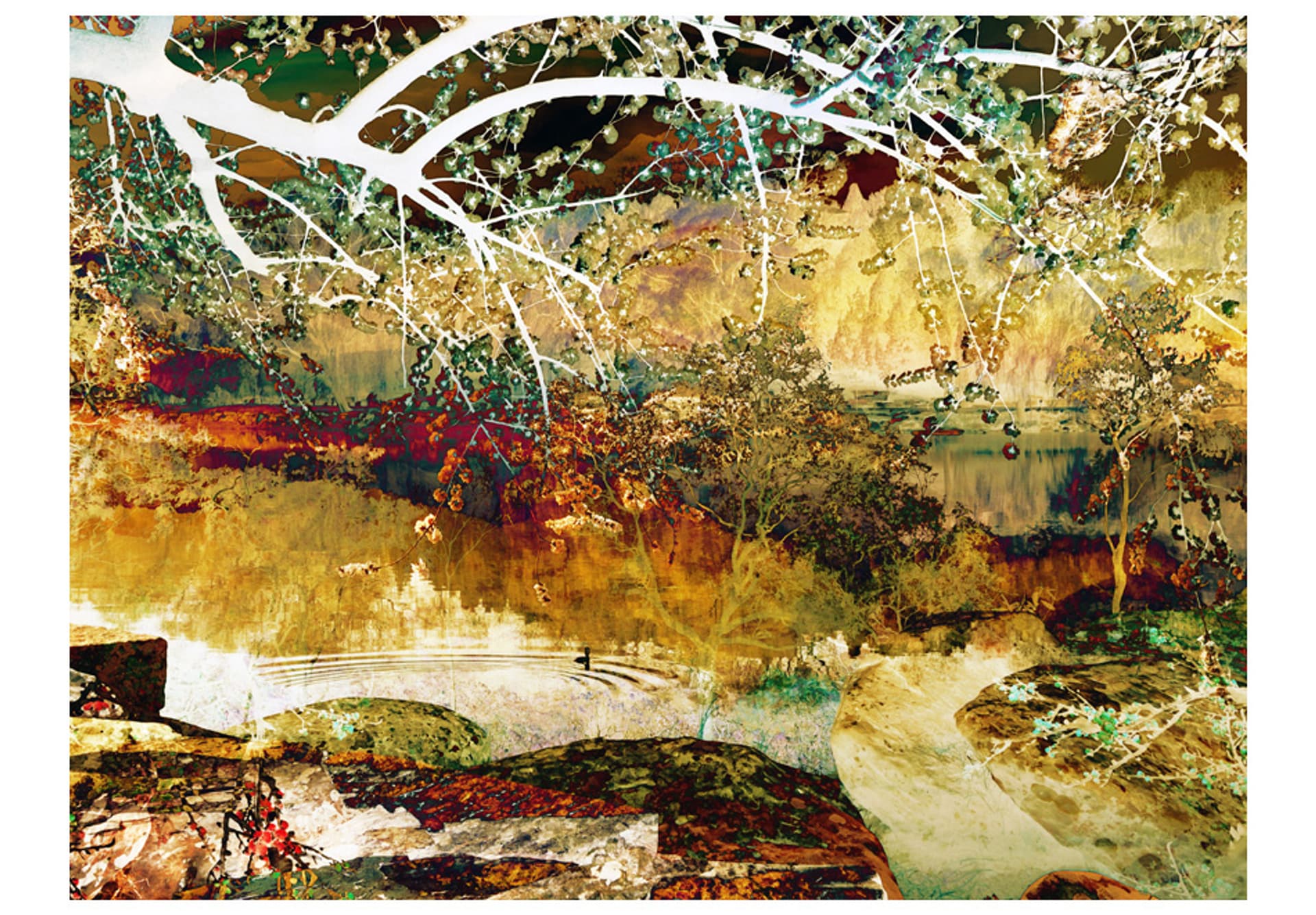 

Fototapeta - River of life (rozmiar 200x154)