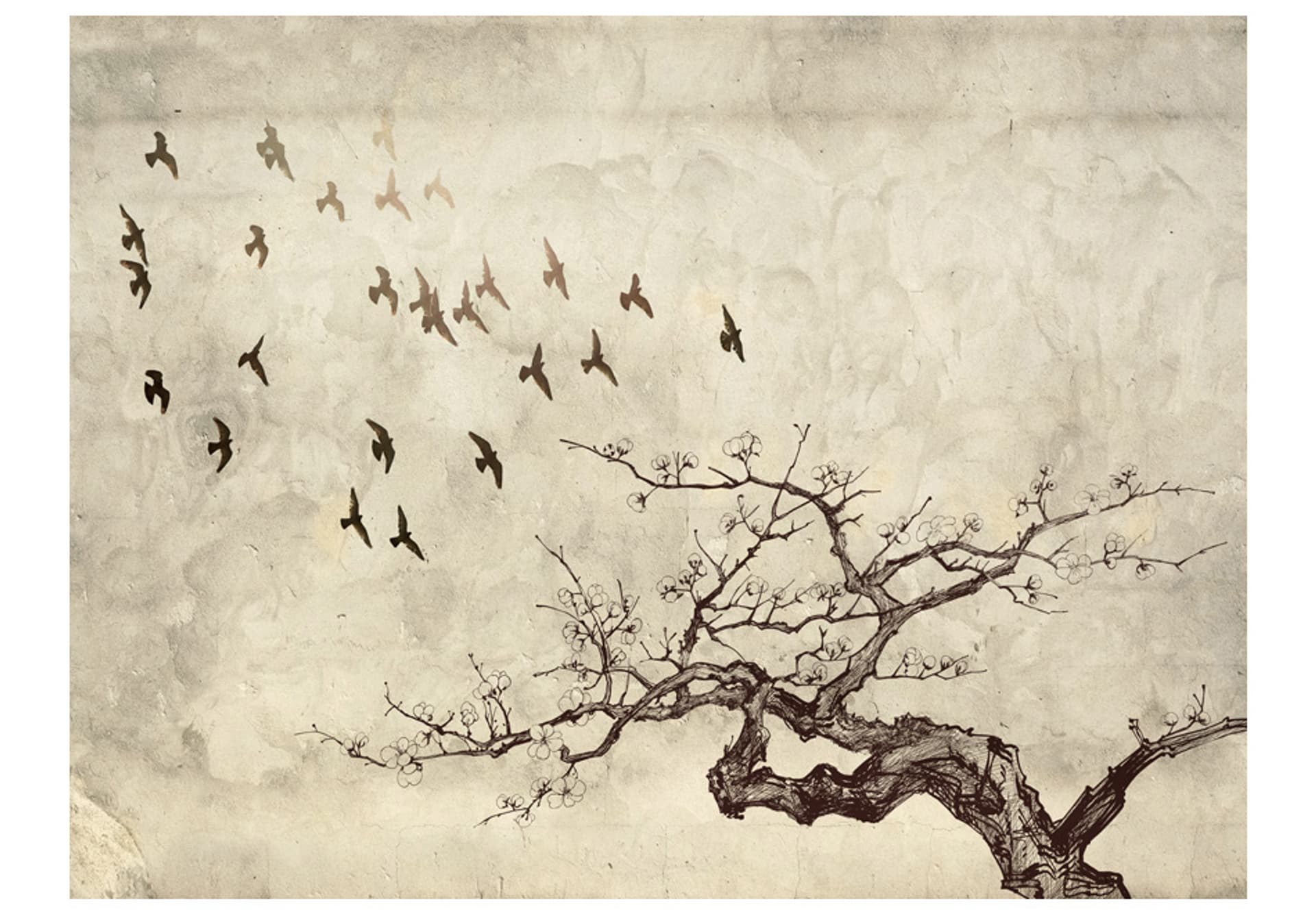 

Fototapeta - Flock of birds (rozmiar 300x231)