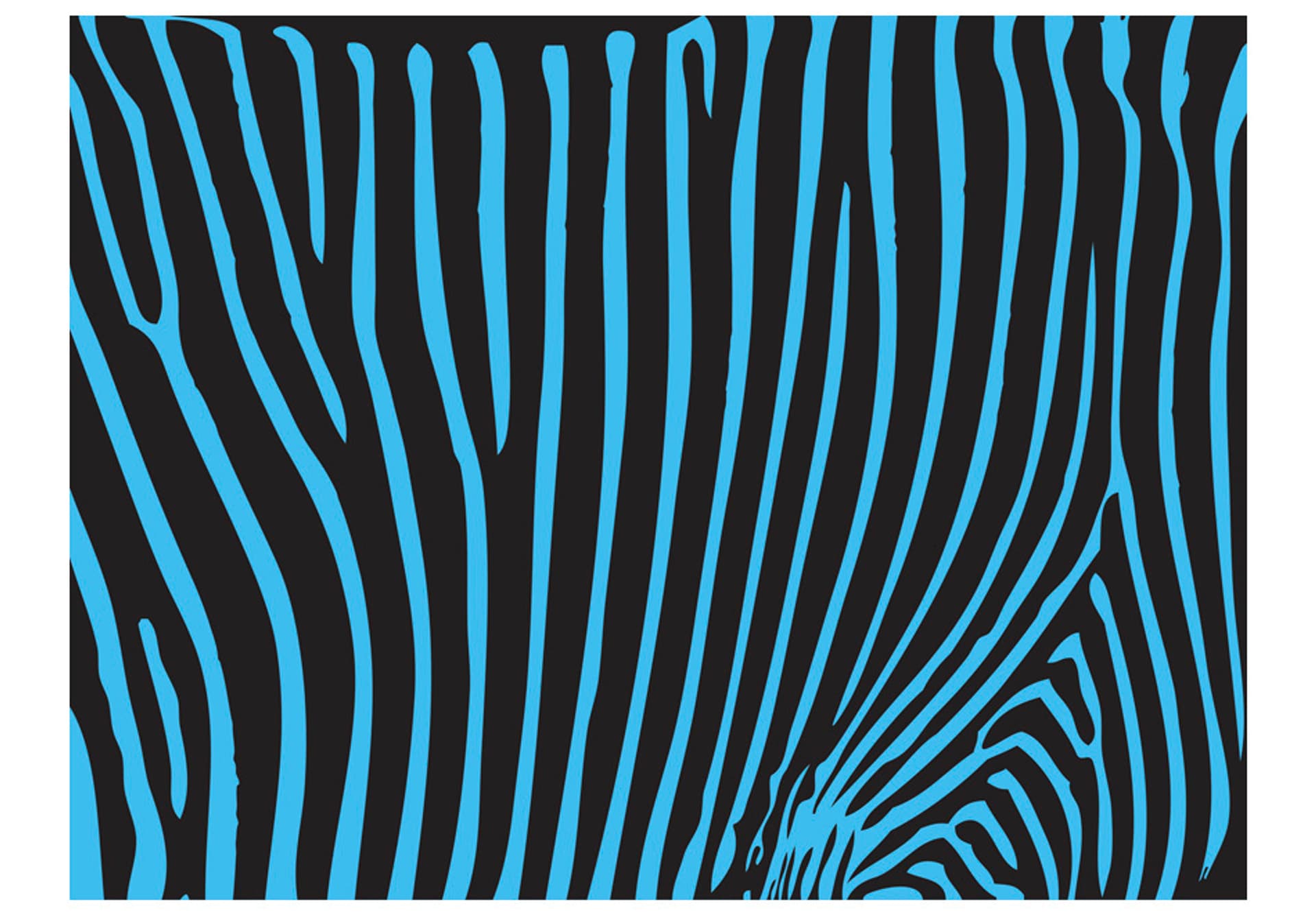 

Fototapeta - Zebra pattern (turkus) (rozmiar 200x154)