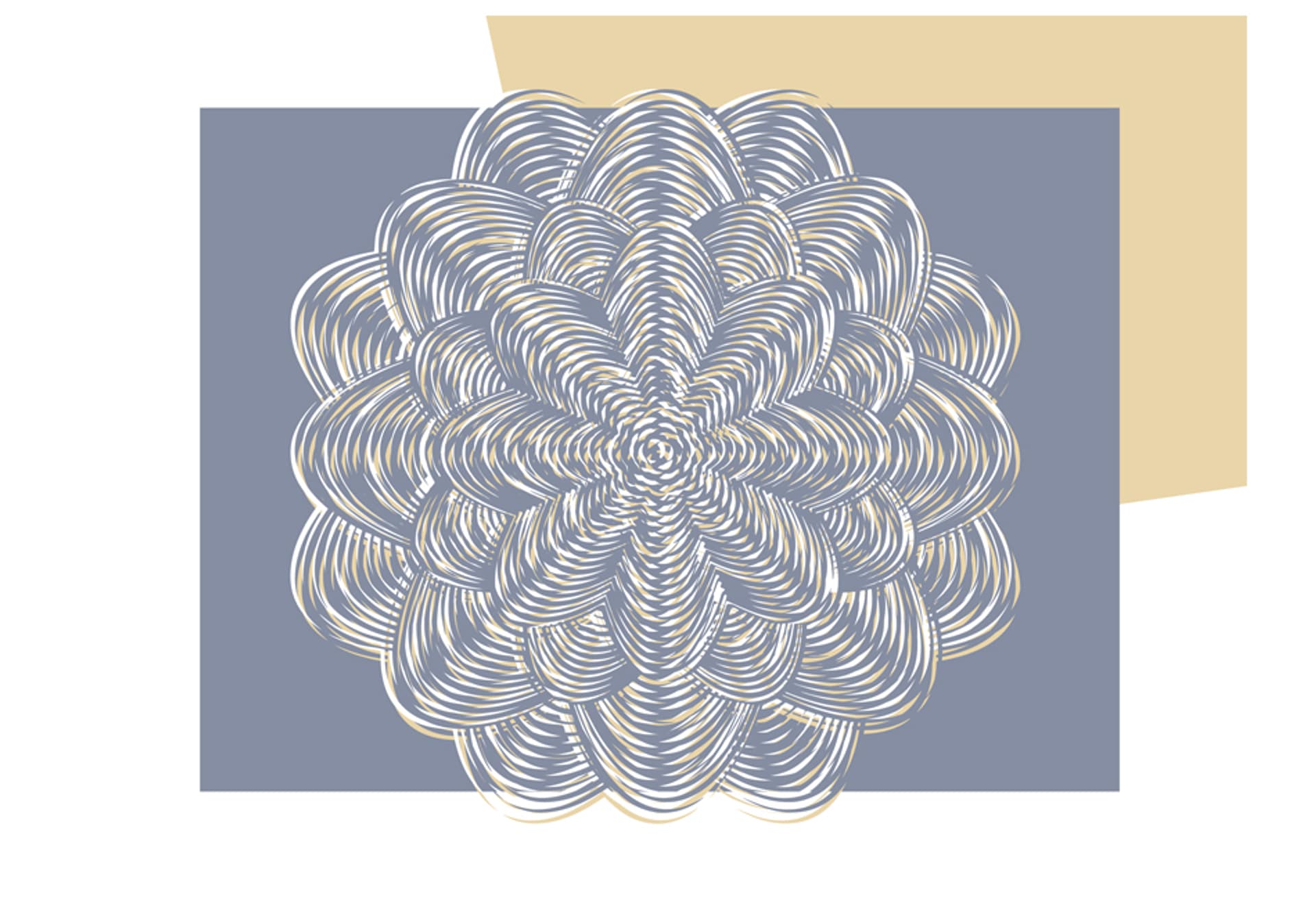 

Fototapeta - Biały ornament (rozmiar 400x309)