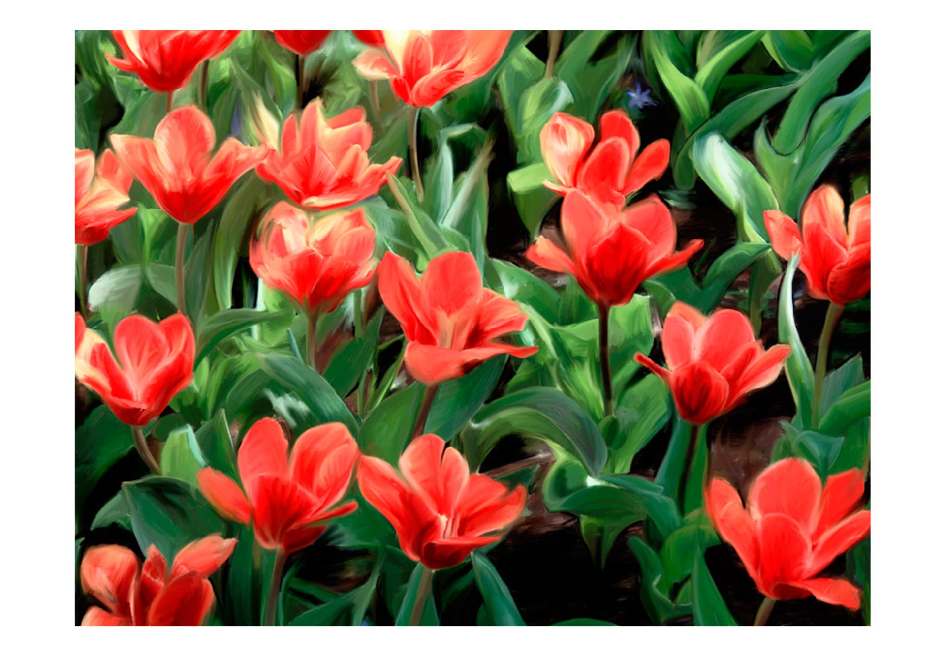 

Fototapeta - Painted flowers (rozmiar 250x193)