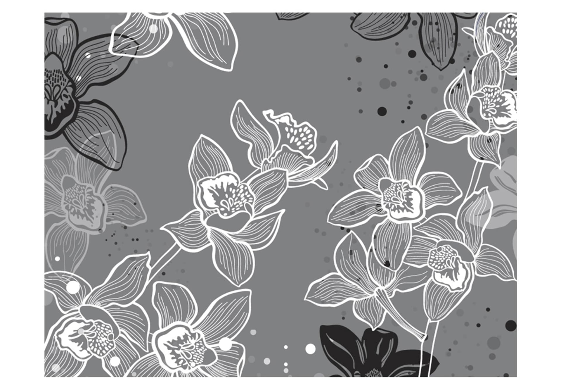 

Fototapeta - Winter flora (rozmiar 250x193)