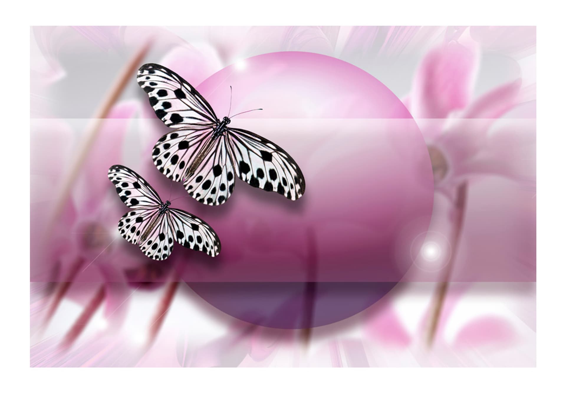 

Fototapeta - Fly, Butterfly! (rozmiar 400x270)