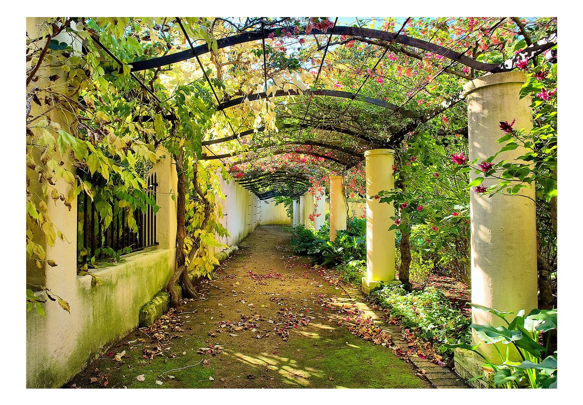 

Fototapeta - Pergola (rozmiar 150x105)