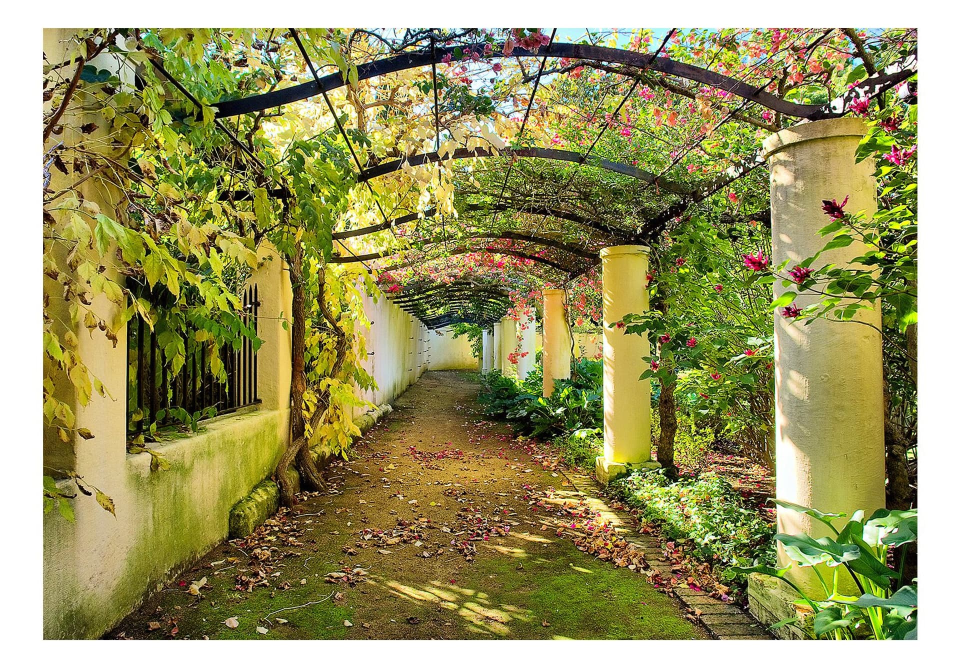 

Fototapeta - Pergola (rozmiar 400x280)