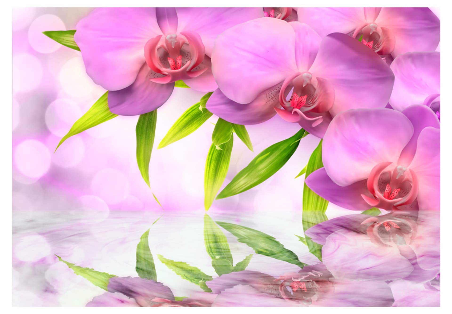 

Fototapeta - Orchidee w kolorze lila (rozmiar 100x70)