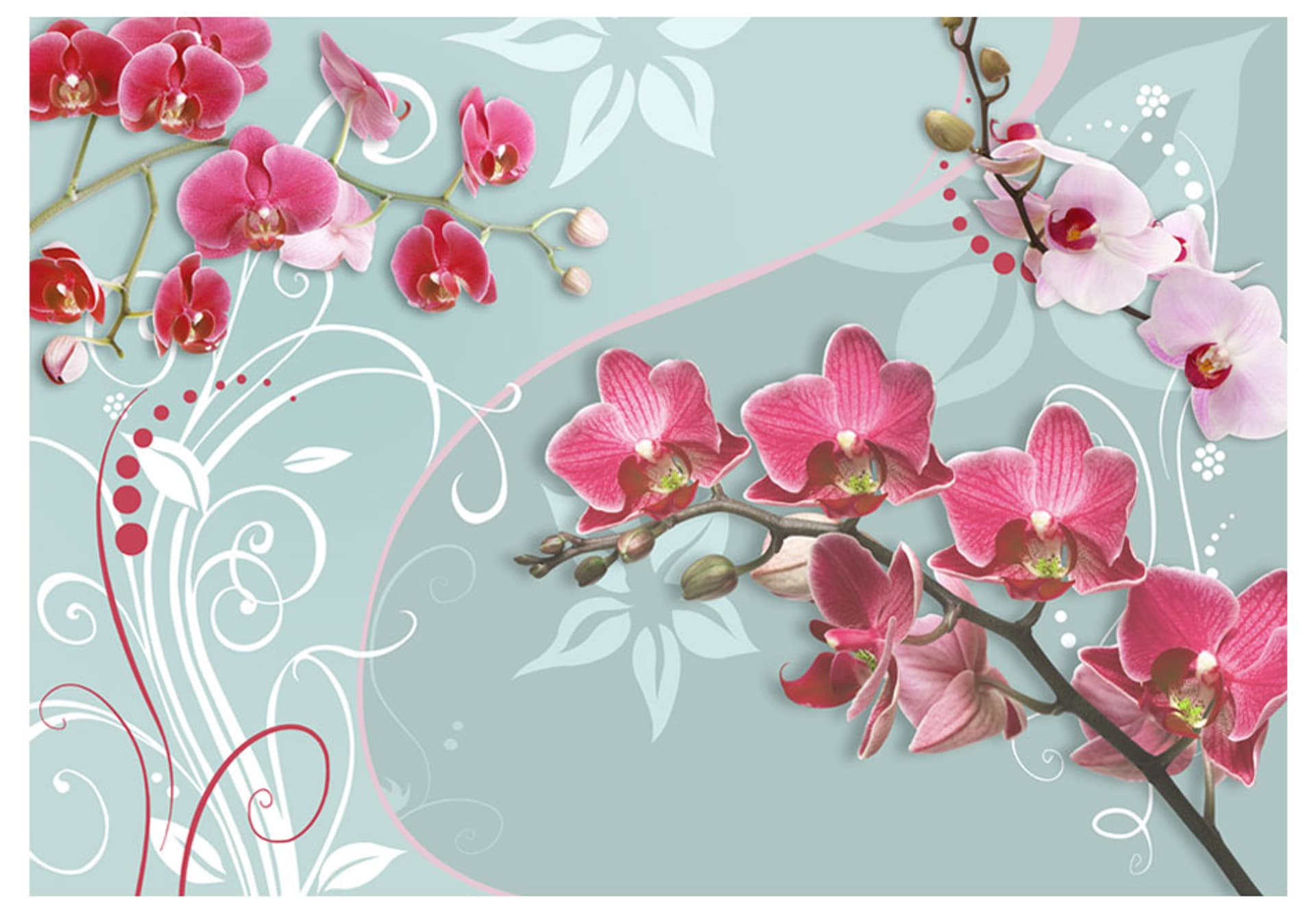 

Fototapeta - Różowe orchidee - wariacja II (rozmiar 100x70)