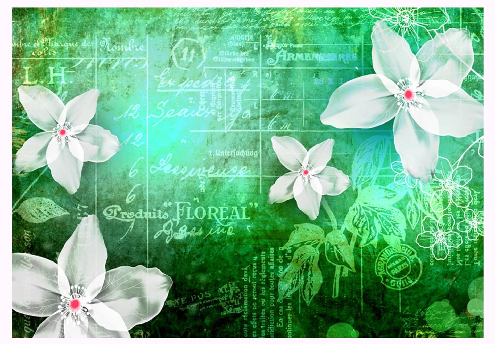 

Fototapeta - Floral notes III (rozmiar 150x105)