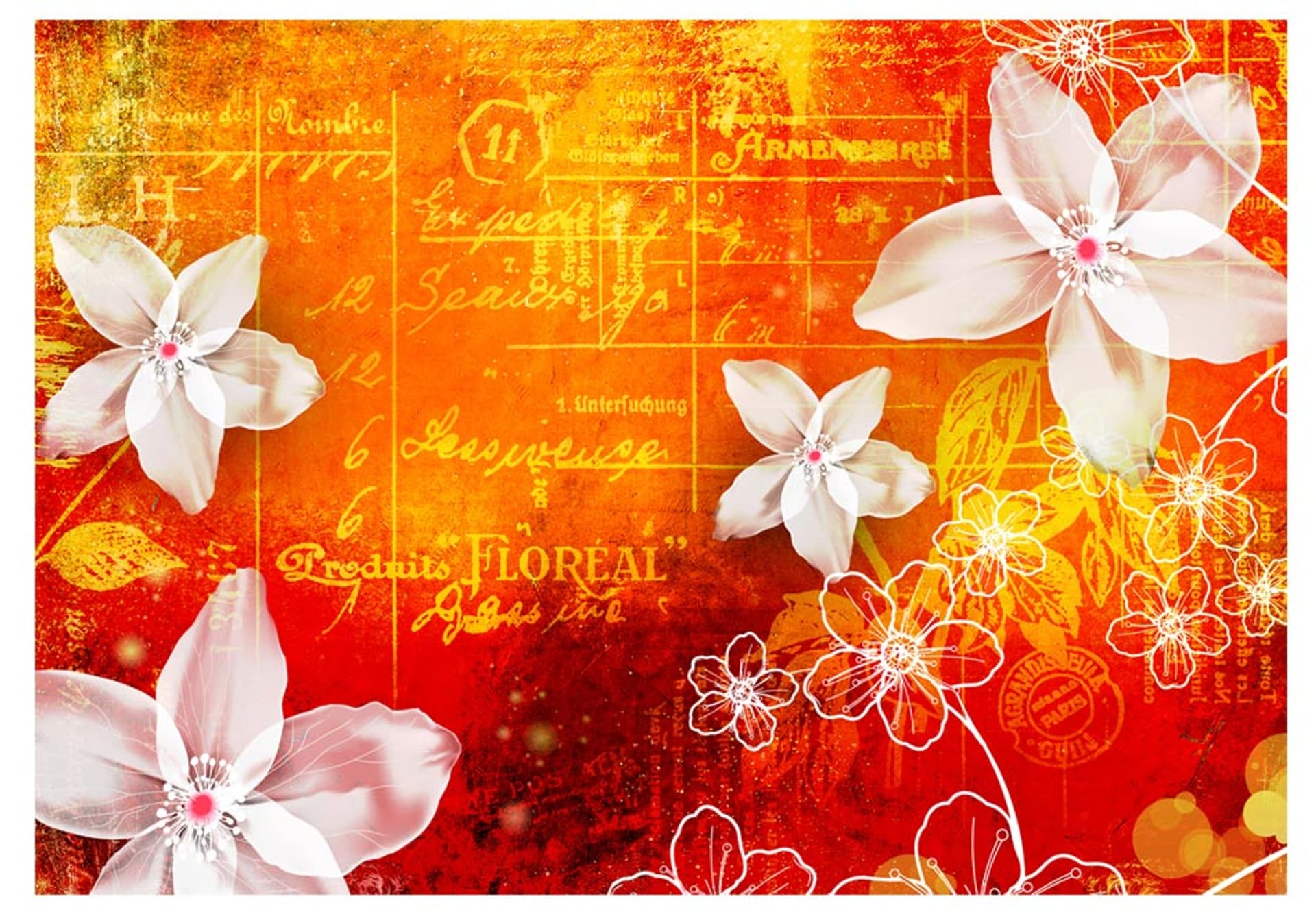 

Fototapeta - Floral notes II (rozmiar 300x210)