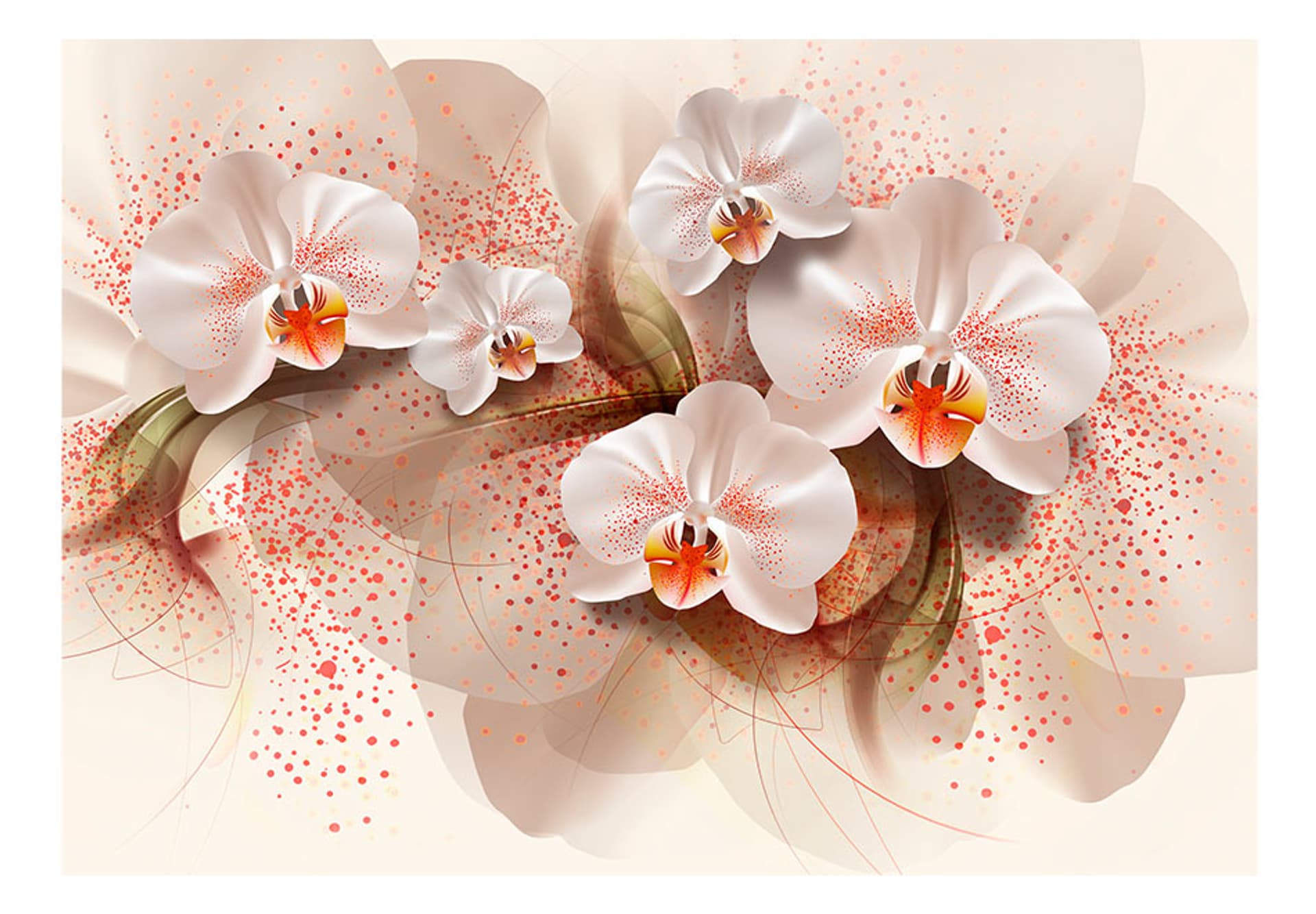 

Fototapeta - Herbaciane orchidee (rozmiar 350x245)