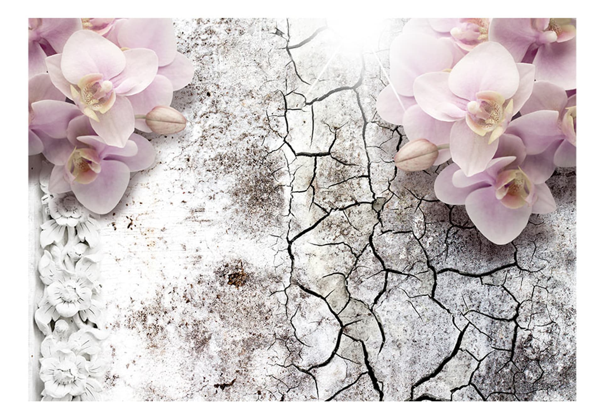 

Fototapeta - Pąsowe orchidee (rozmiar 250x175)