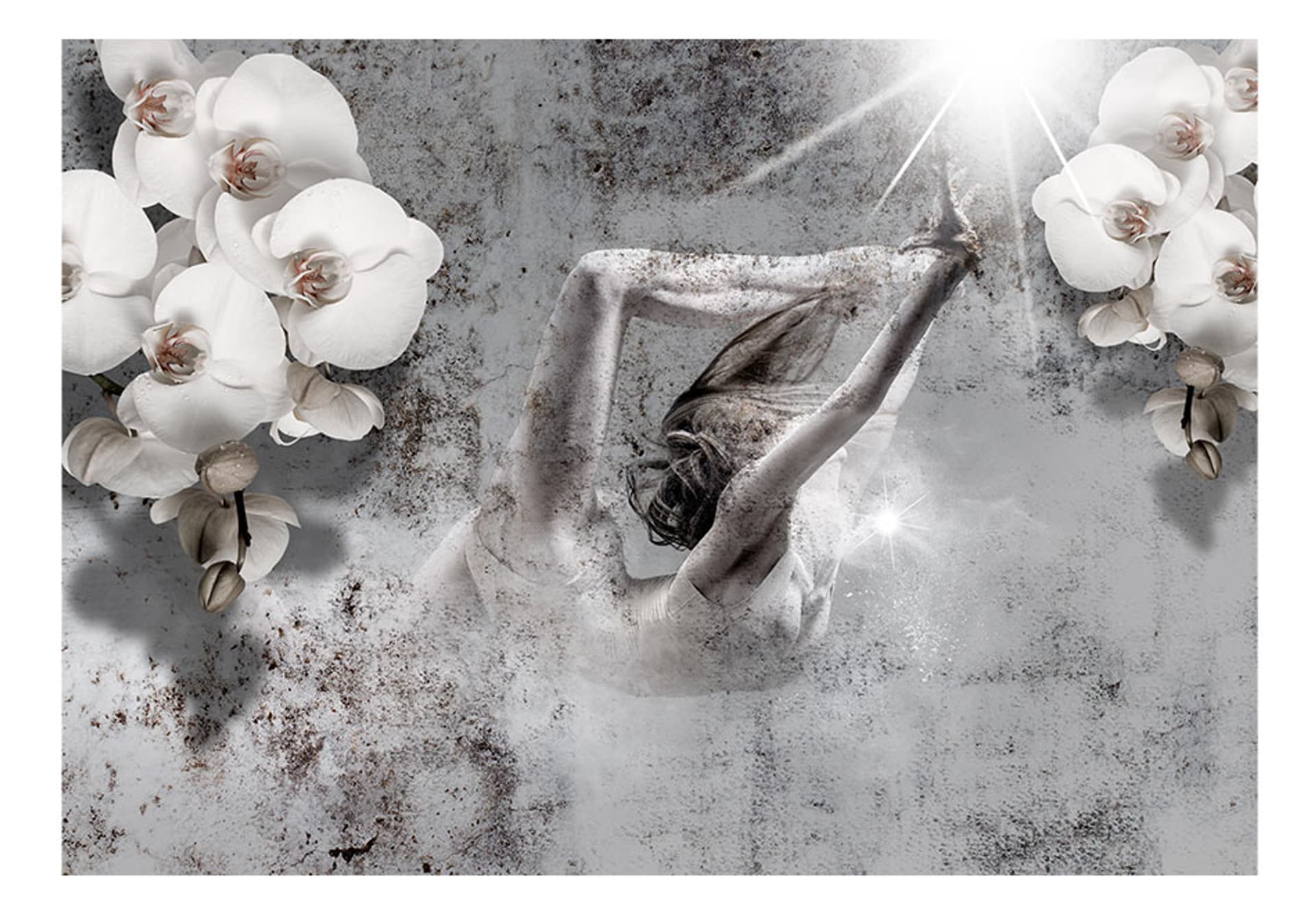

Fototapeta - Układ z orchideą (rozmiar 100x70)