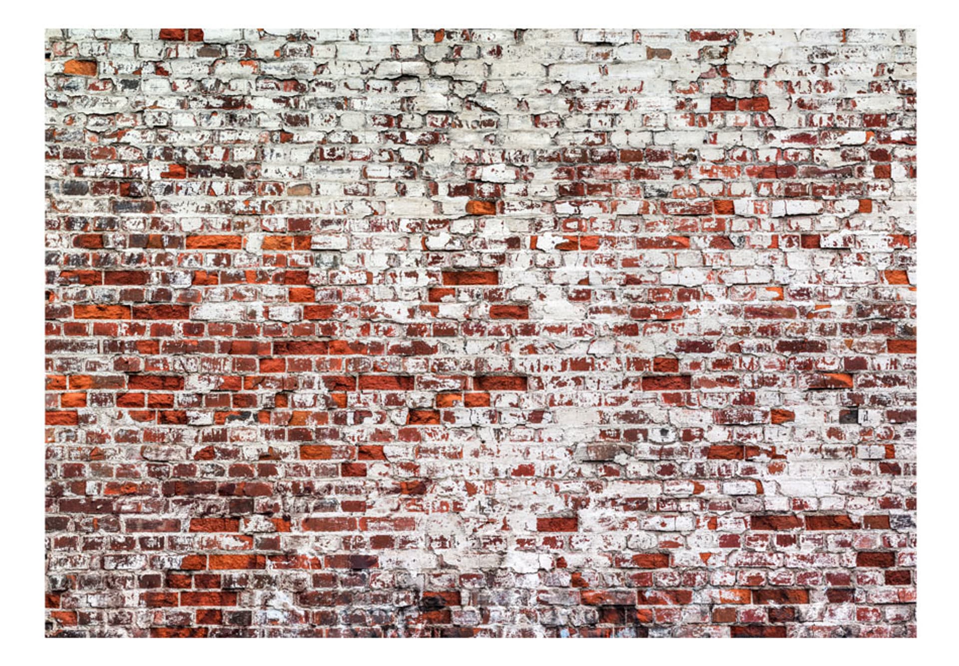 

Fototapeta - Jej wysokość cegła (rozmiar 300x210)