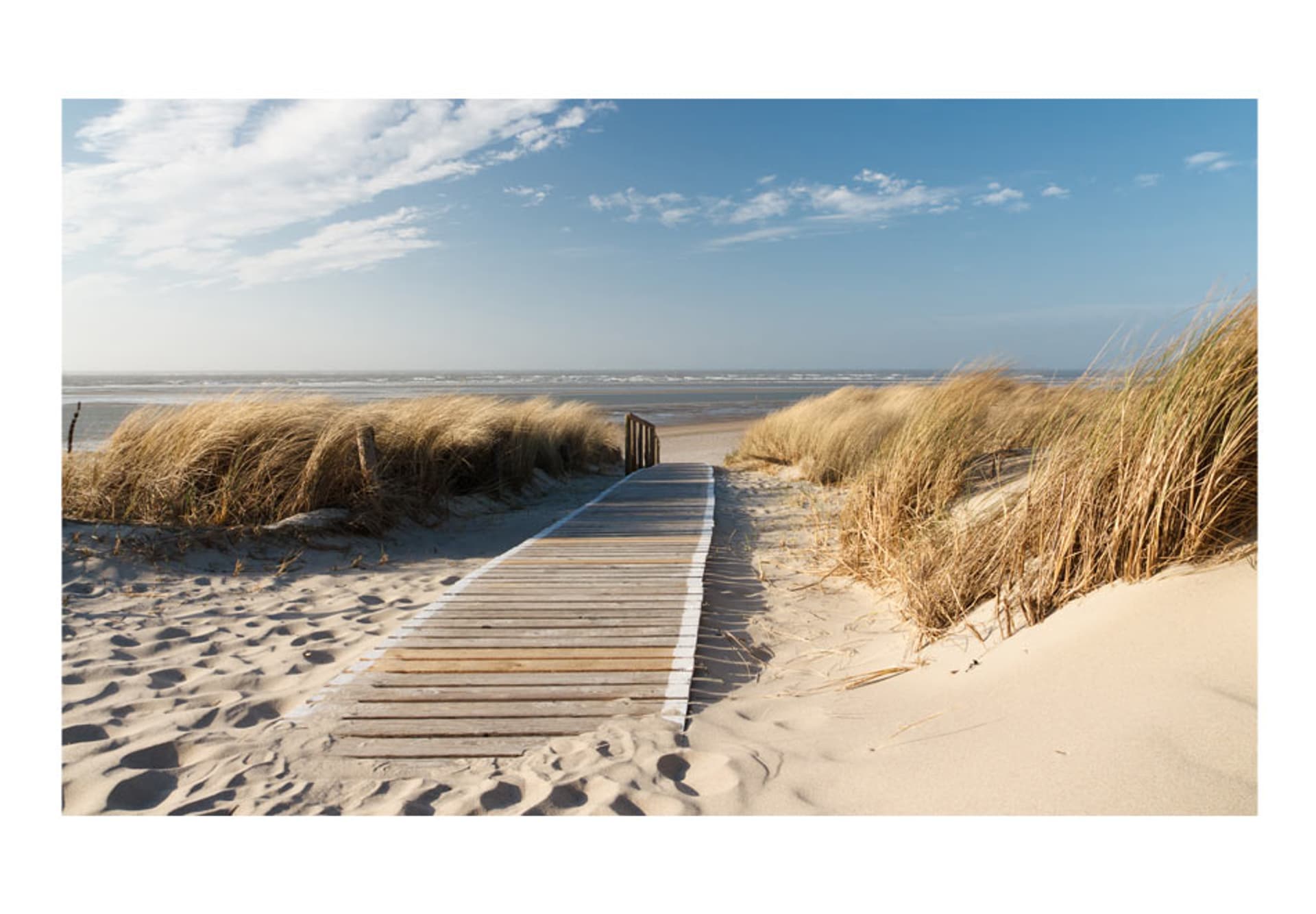 

Fototapeta - Plaża Morza Północnego, Langeoog (rozmiar 450x270)