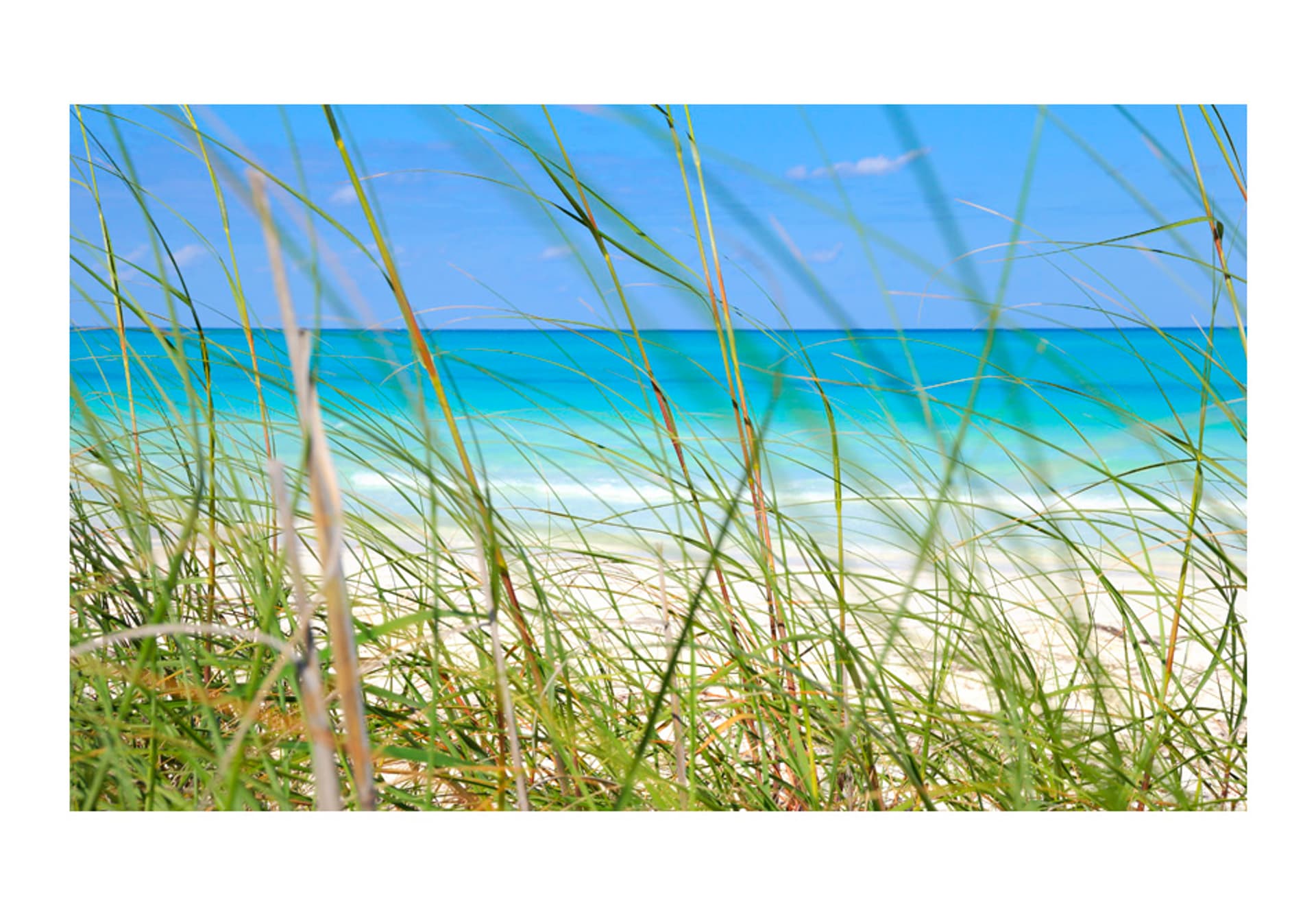 

Fototapeta - Tropical journey (rozmiar 450x270)