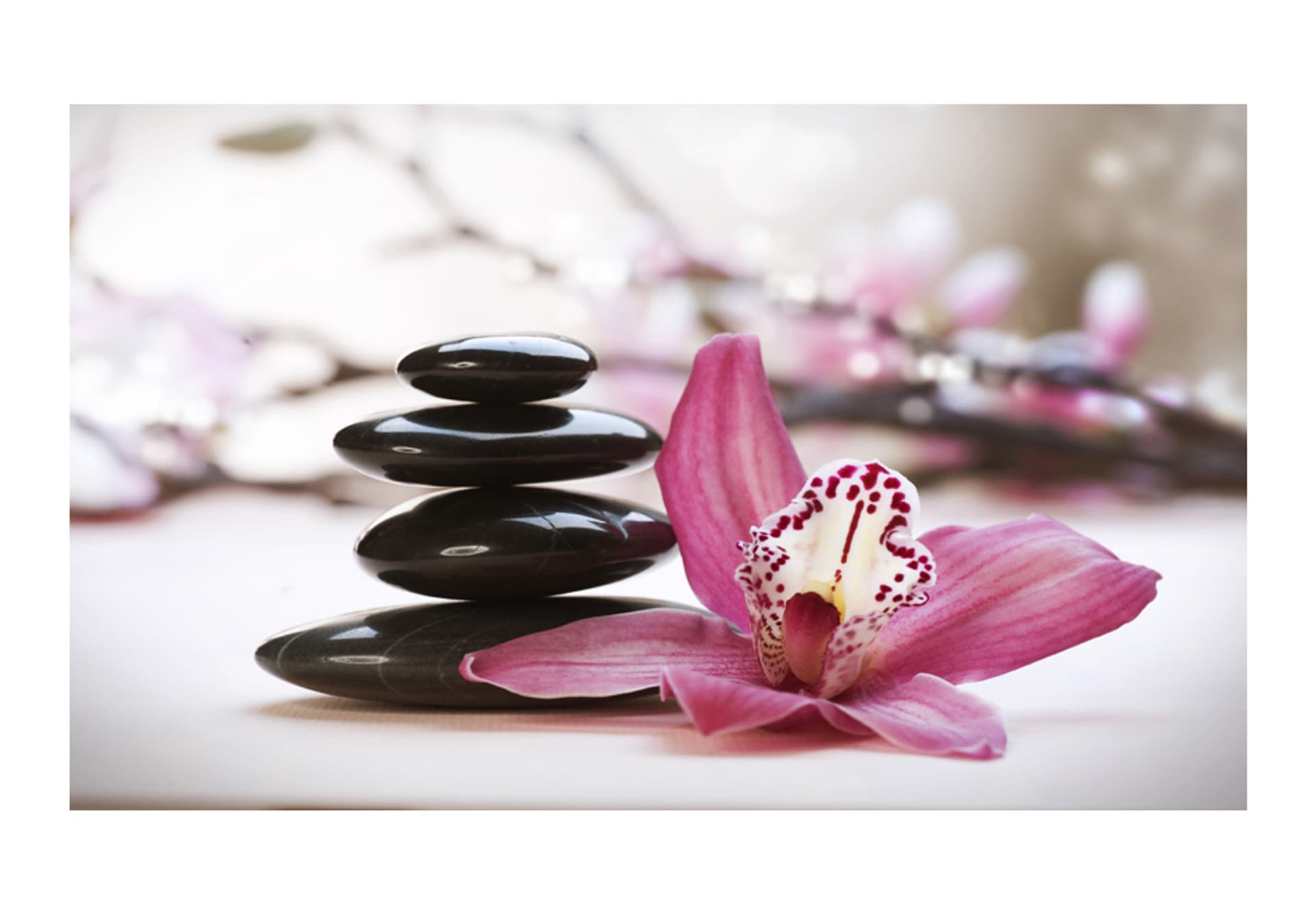 

Fototapeta - Relaxation and Wellness (rozmiar 450x270)