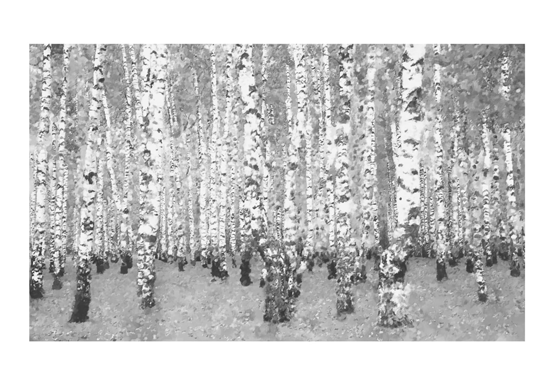 

Fototapeta - Brzozowe zacisze (rozmiar 450x270)
