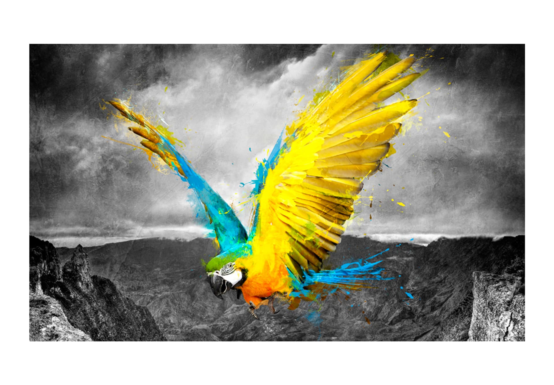 

Fototapeta - Exotic parrot (rozmiar 450x270)