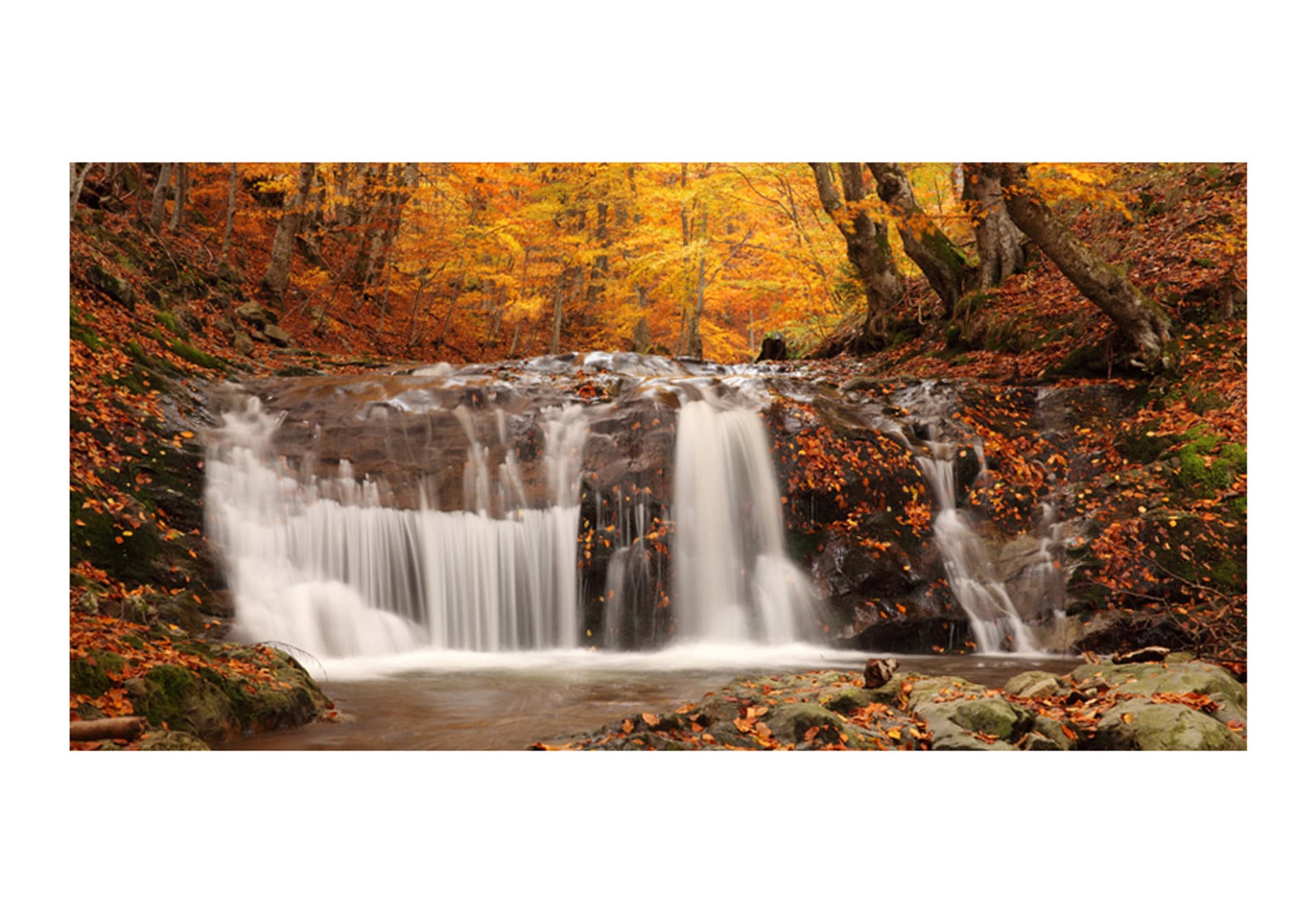 

Fototapeta XXL - Autumn landscape: waterfall in forest (rozmiar 550x270)