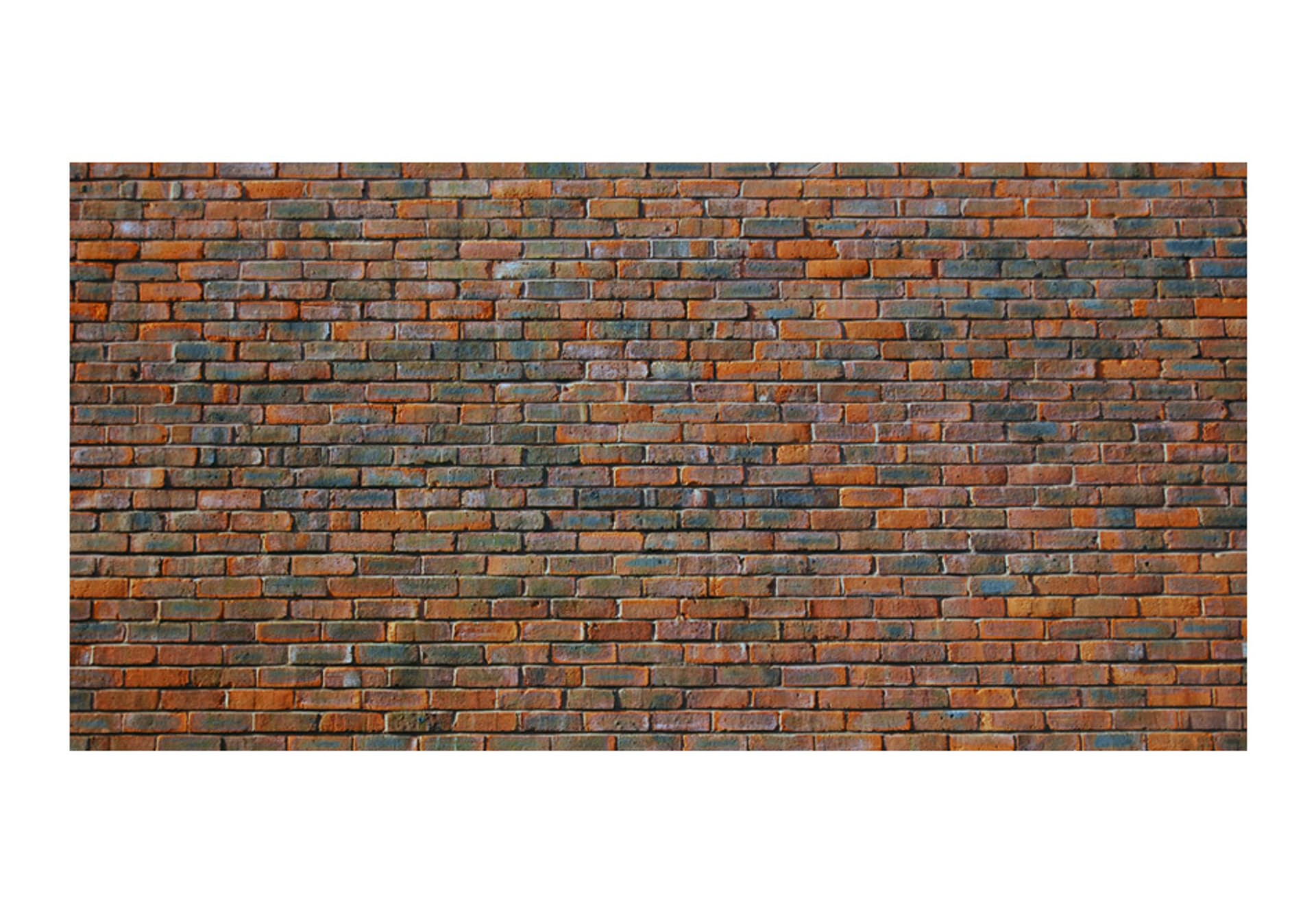 

Fototapeta XXL - Ściana z cegły (rozmiar 550x270)