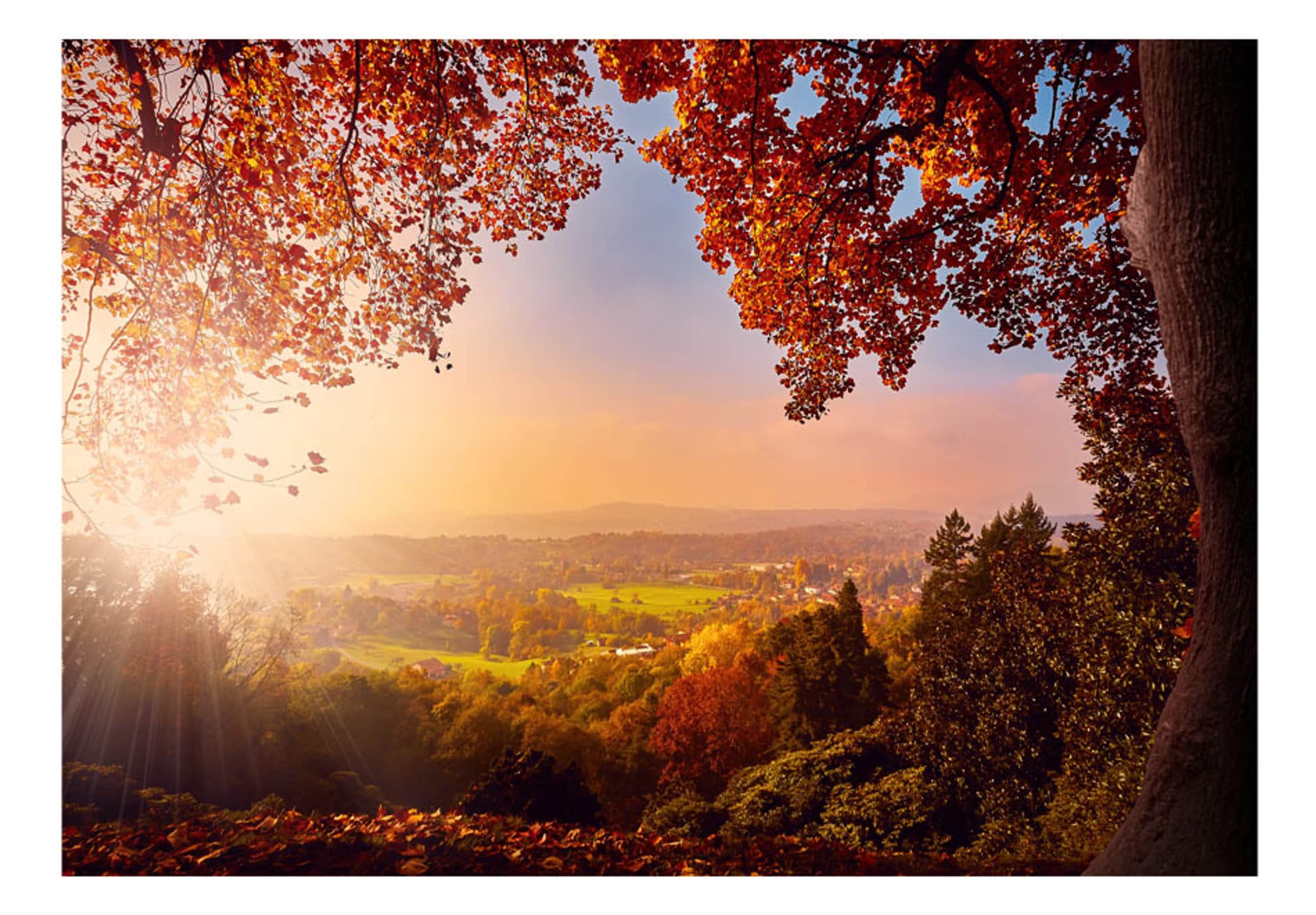 

Fototapeta - Jesienny zachwyt (rozmiar 250x175)