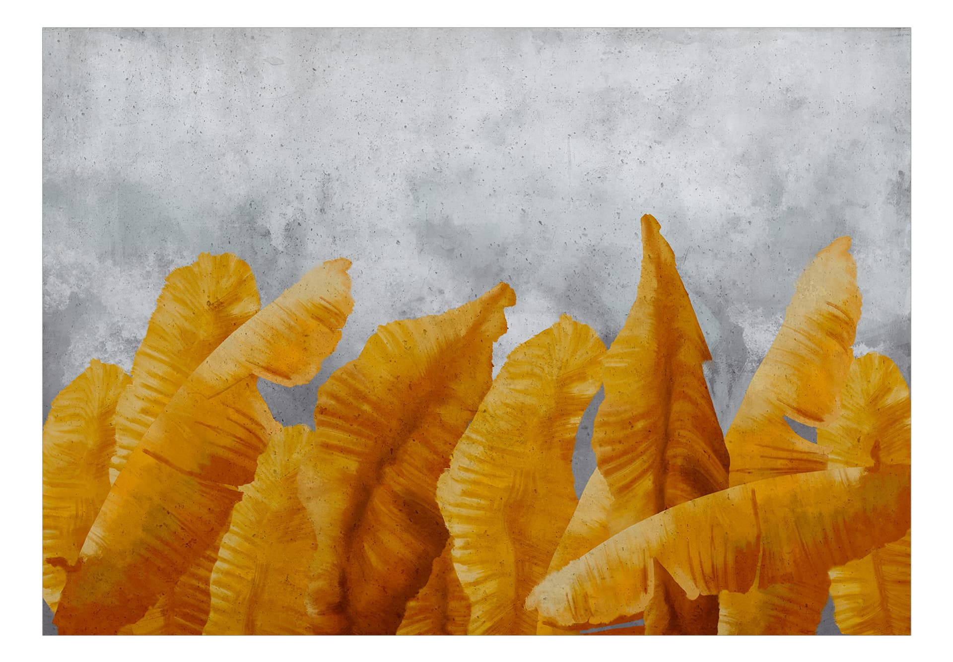 

Fototapeta - Bananowe liście (rozmiar 100x70)