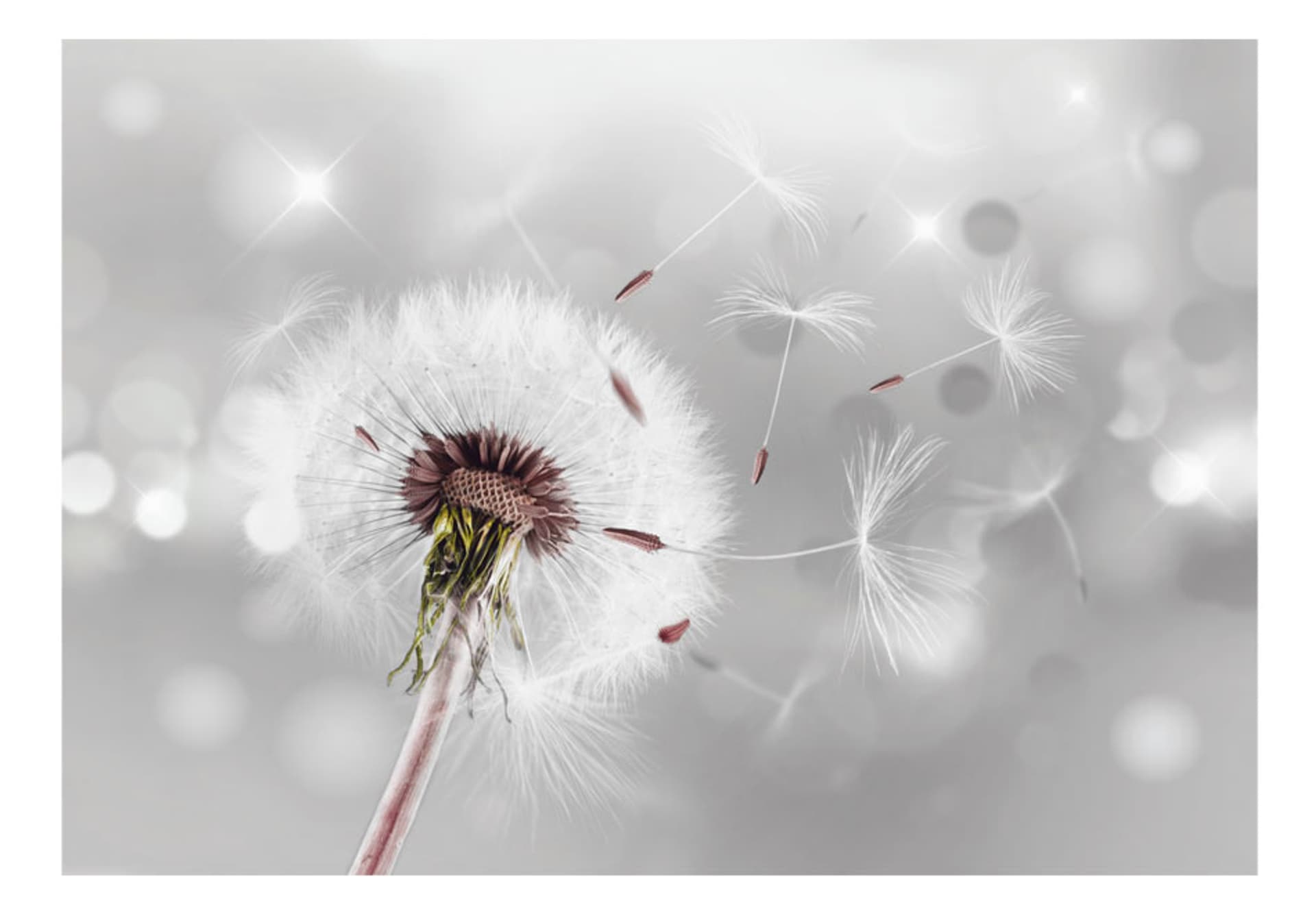 

Fototapeta - Uchwycić to co ulotne (rozmiar 150x105)