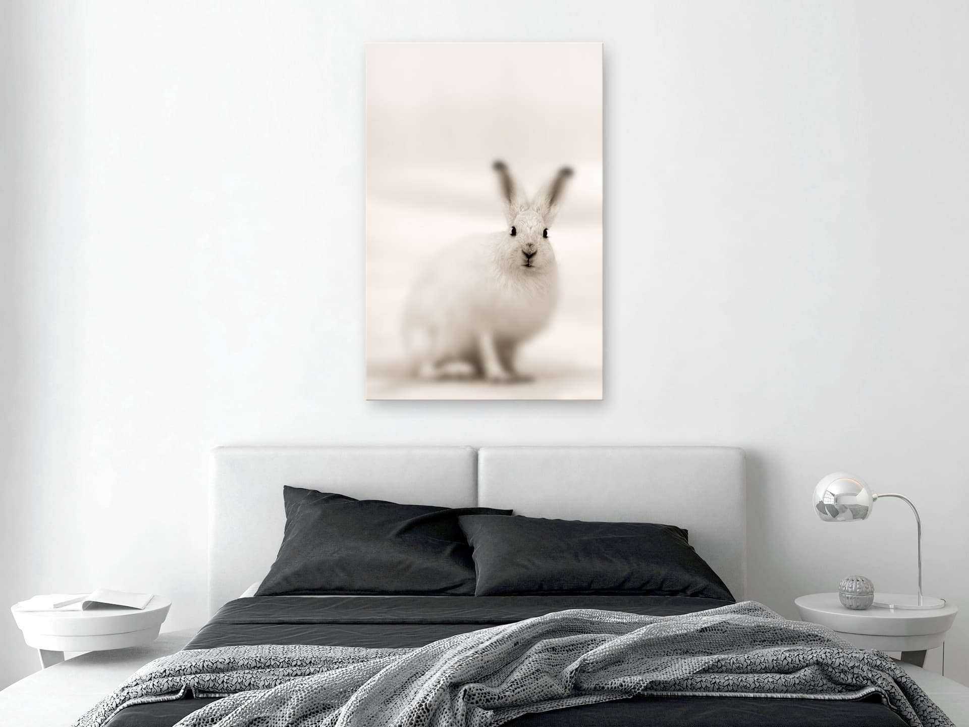 

Obraz - Strachliwe spojrzenie (1-częściowy) pionowy (rozmiar 40x60)