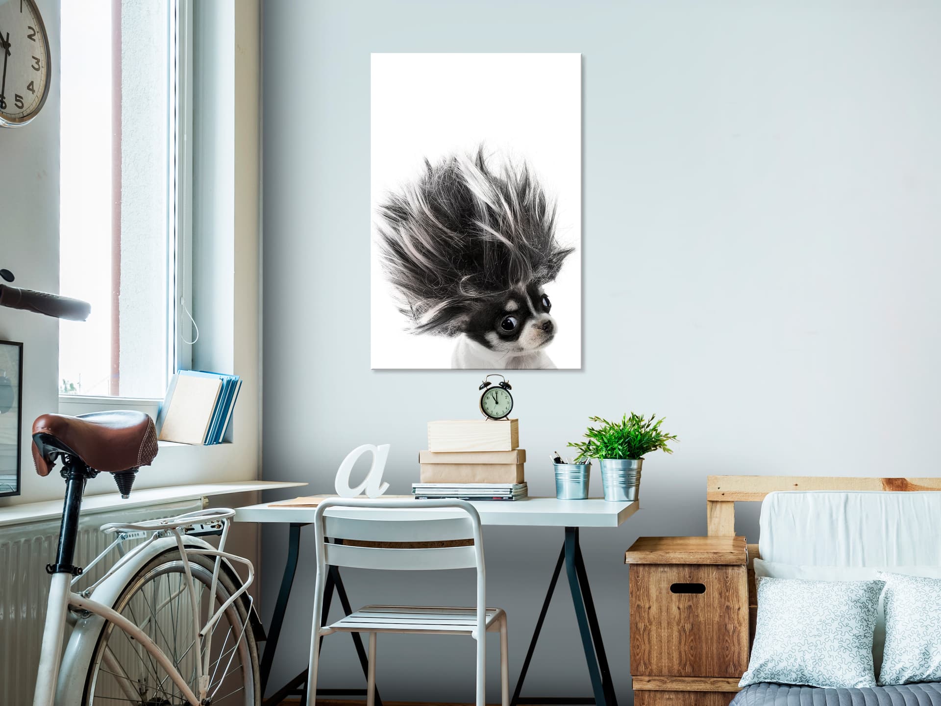 

Obraz - Chihuahua (1-częściowy) pionowy (rozmiar 40x60)