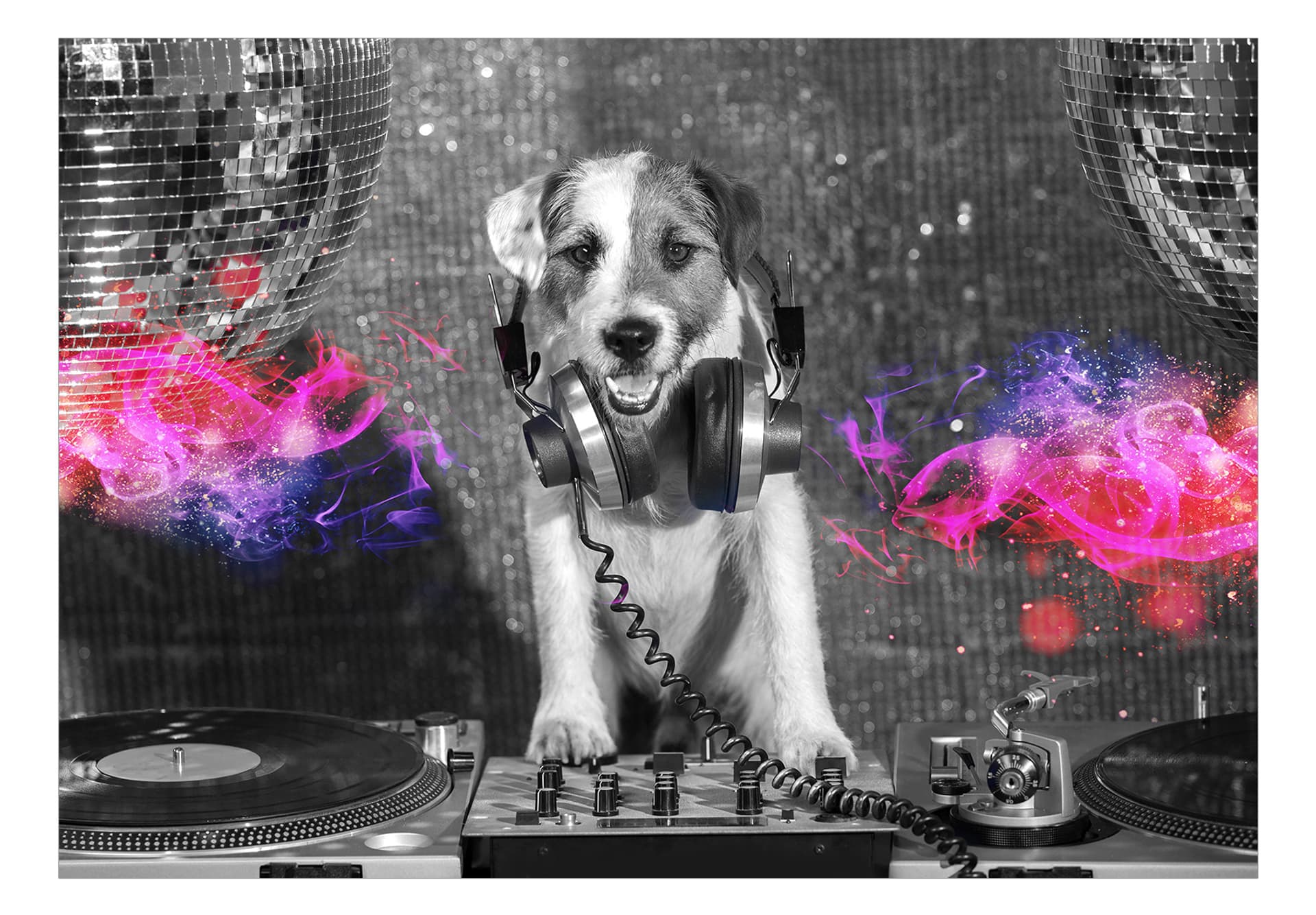 

Fototapeta samoprzylepna - Pies DJ (rozmiar 392x280)