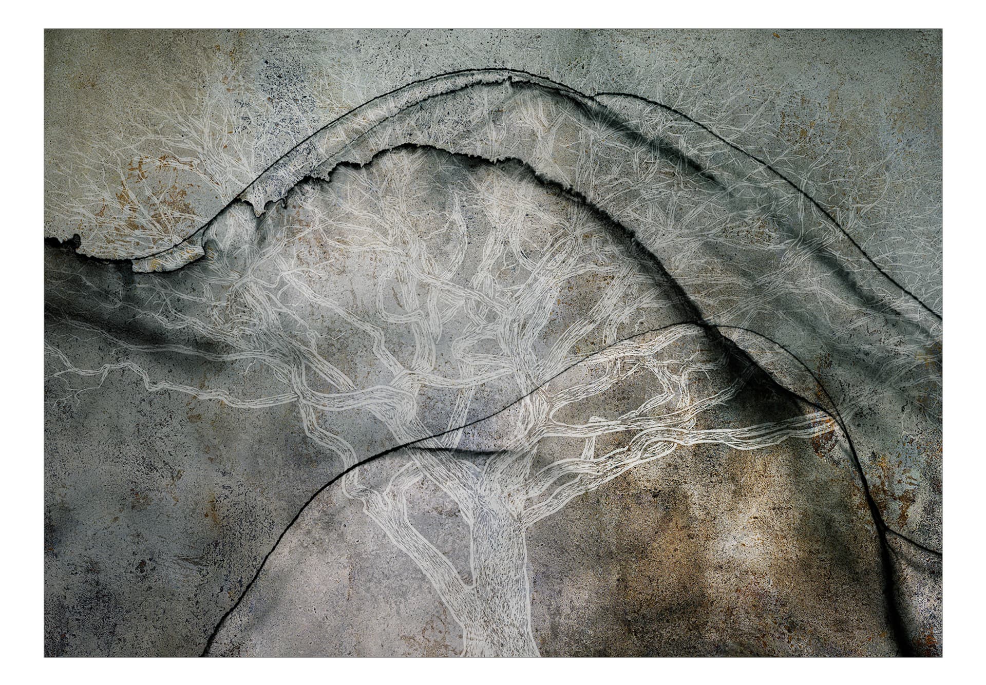 

Fototapeta samoprzylepna - Alfabet drzew (rozmiar 441x315)