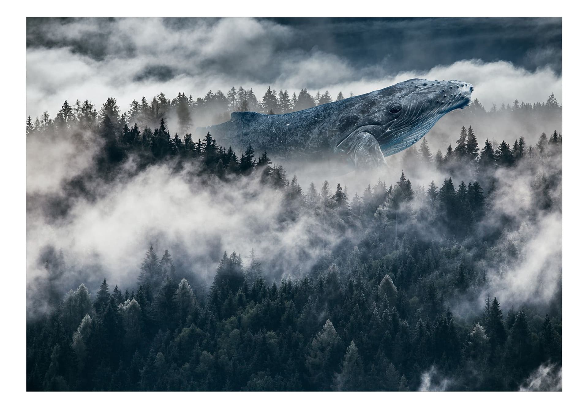 

Fototapeta - Senne przestrzenie (rozmiar 150x105)