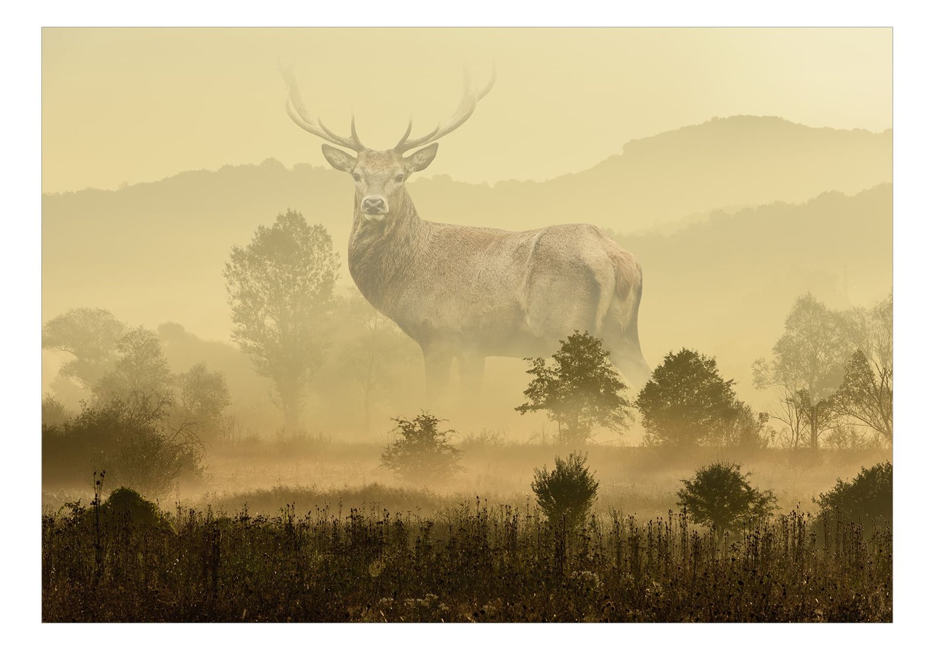 

Fototapeta samoprzylepna - Senne wyobrażenie (rozmiar 147x105)