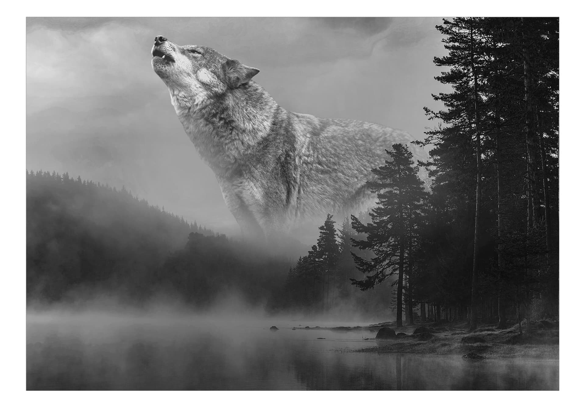 

Fototapeta - Leśne tajemnice (rozmiar 400x280)
