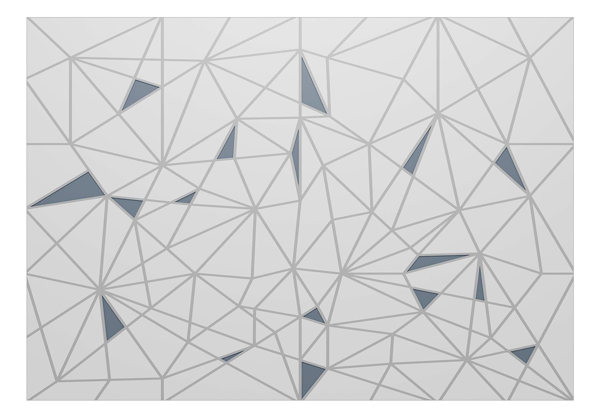 

Fototapeta samoprzylepna - Linie przecięcia (rozmiar 392x280)