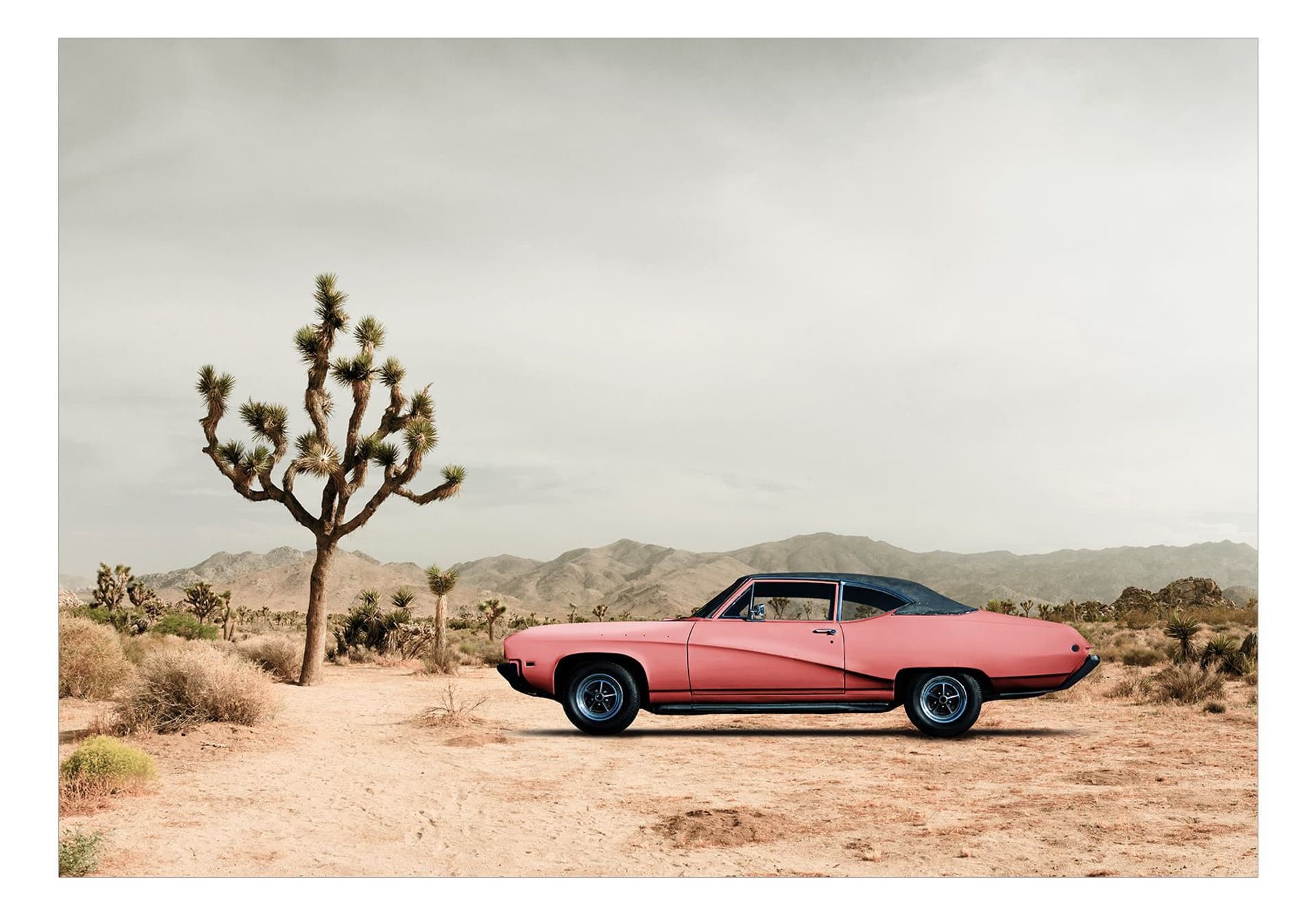 

Fototapeta samoprzylepna - Pustynna Kalifornia (rozmiar 98x70)