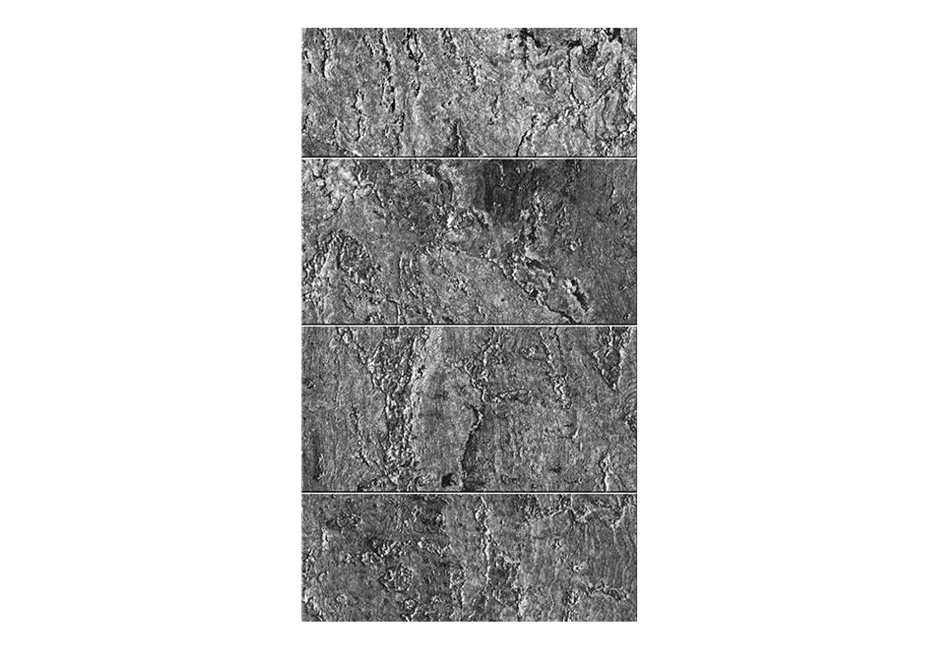 

Fototapeta - Odcienie szarości (rozmiar 50x1000)