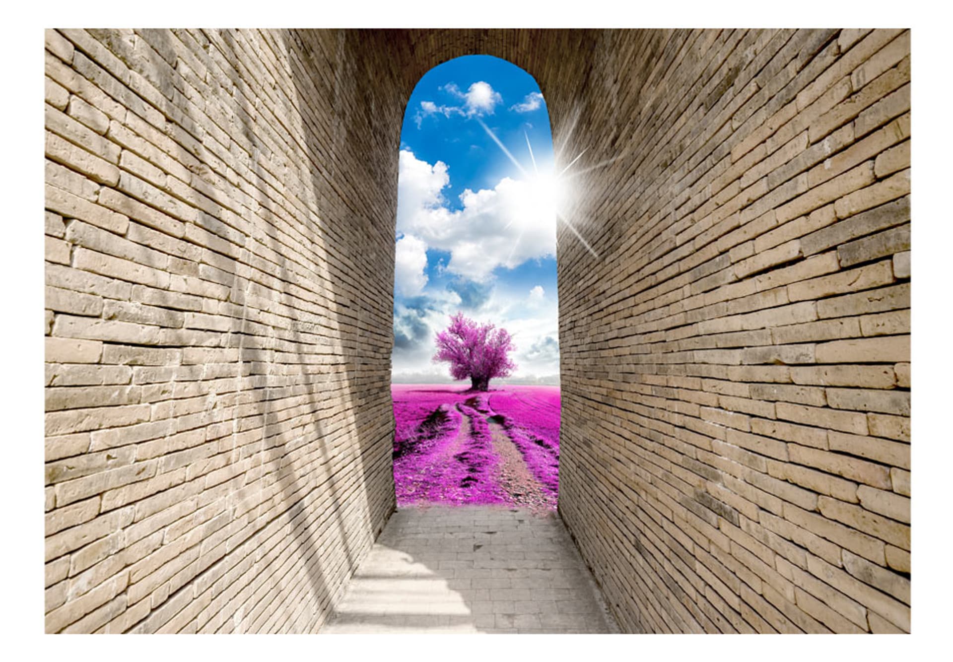 

Fototapeta - Magiczne przejście (rozmiar 100x70)