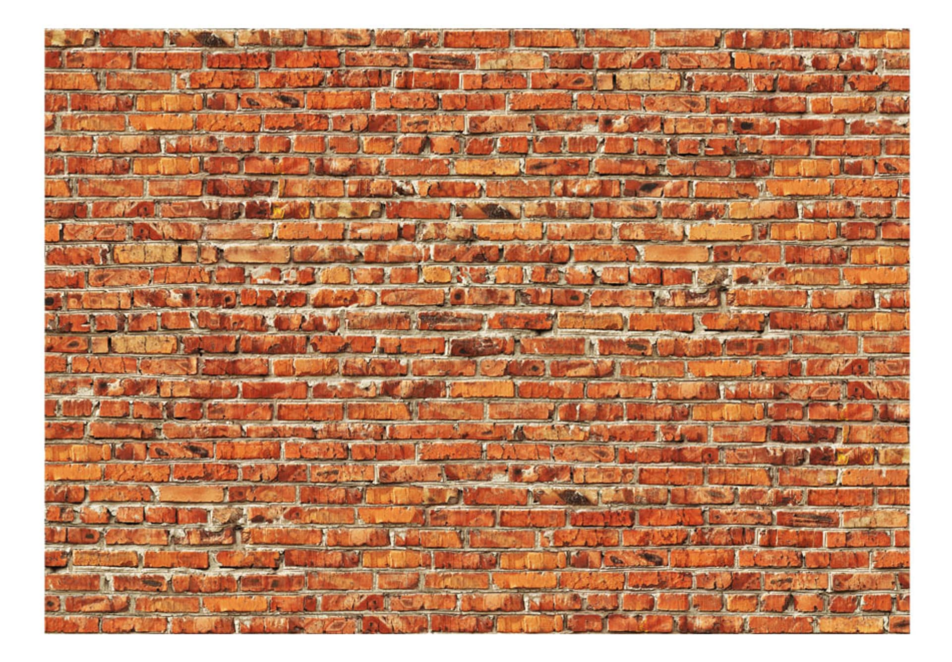 

Fototapeta - Ceglany mur (rozmiar 300x210)