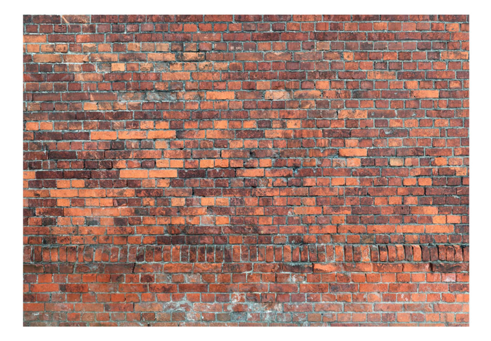 

Fototapeta - Vintage Wall (Red Brick) (rozmiar 150x105)