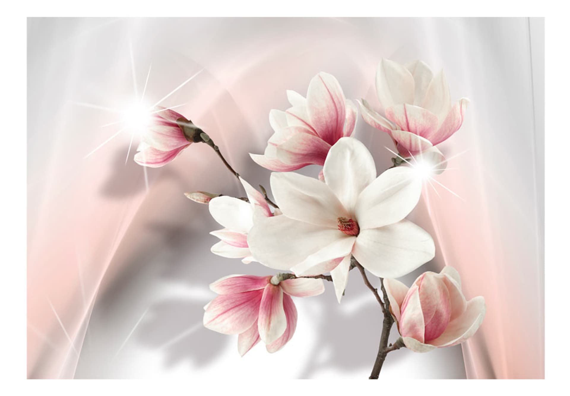 

Fototapeta - Białe magnolie (rozmiar 300x210)