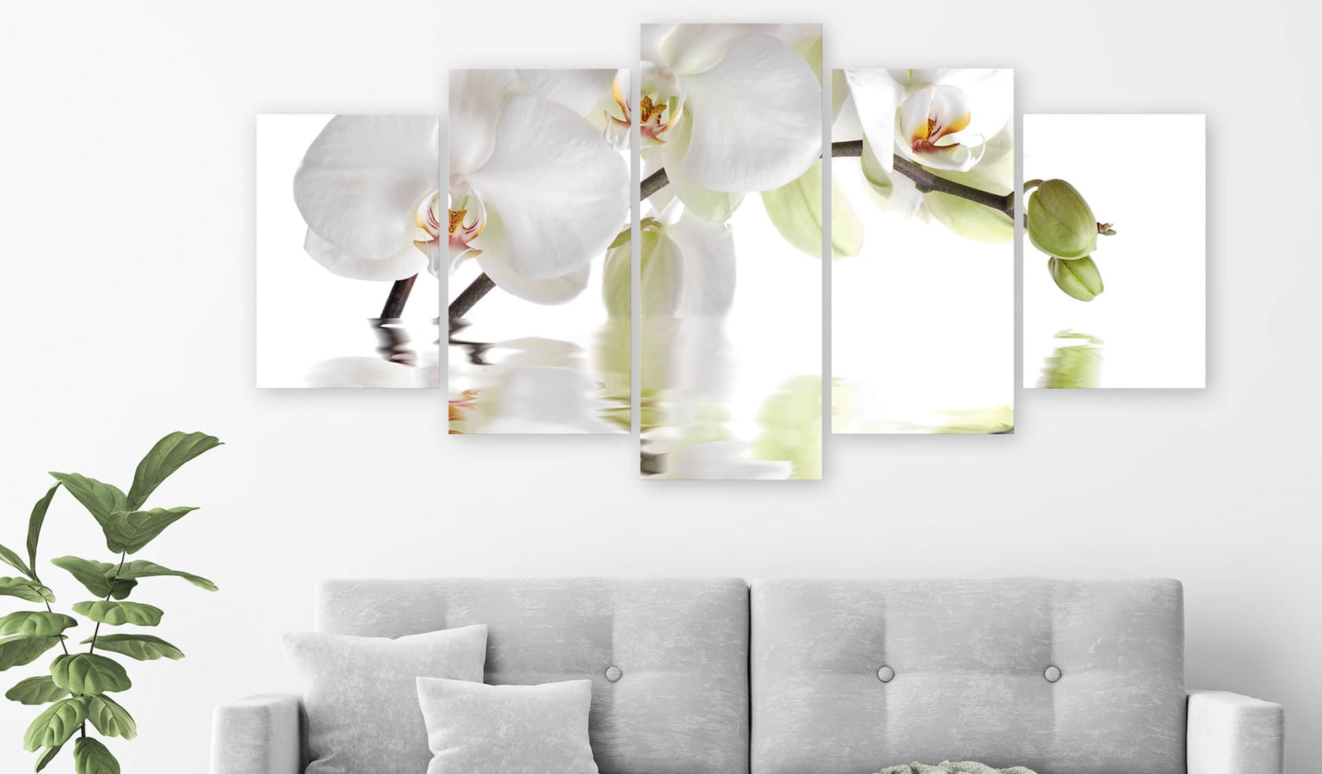 

Obraz - Wspaniała orchidea (5-częściowy) szeroki (rozmiar 100x50)