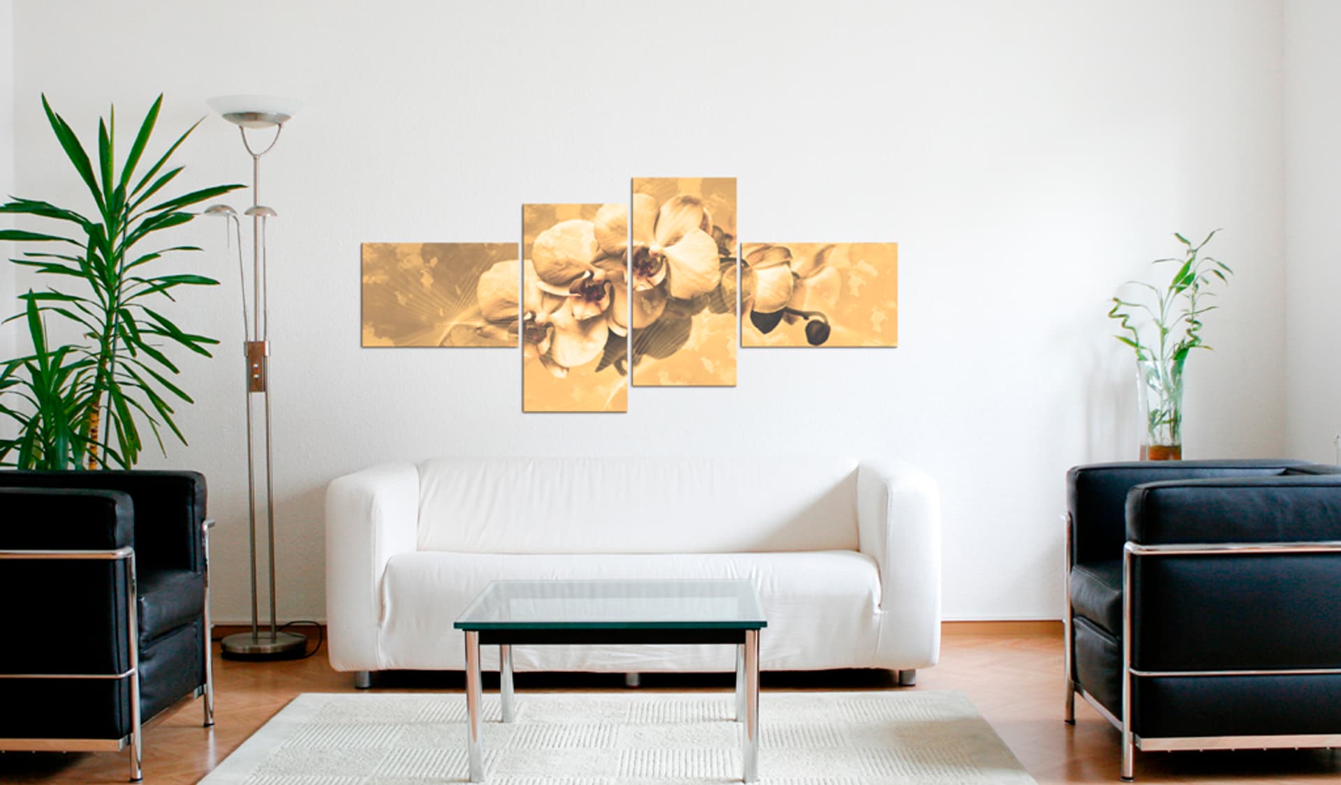 

Obraz - Orchidee w sepii (rozmiar 200x90)