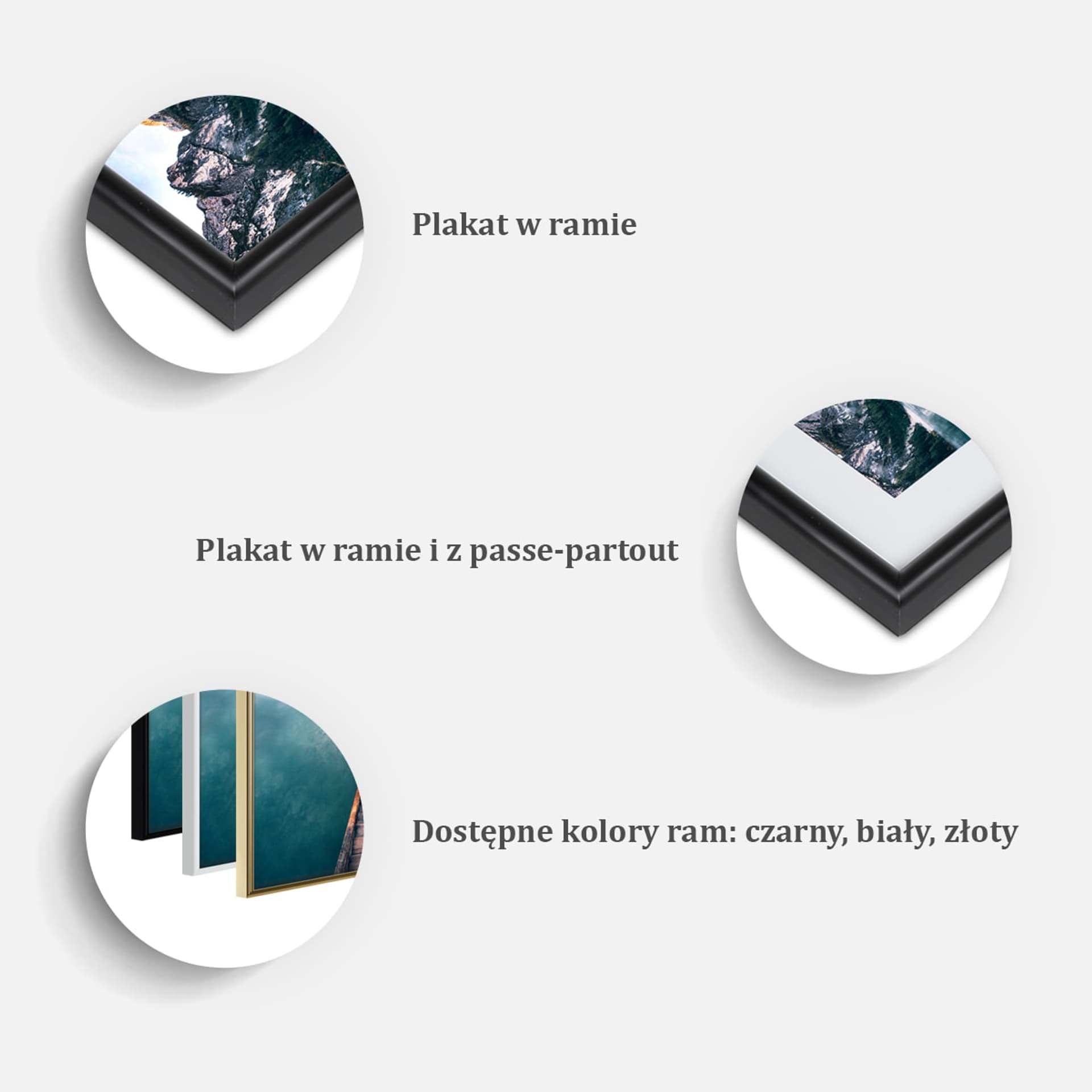 

Plakat - Liść z brązu (rozmiar 40x60, wykończenie Rama biała)