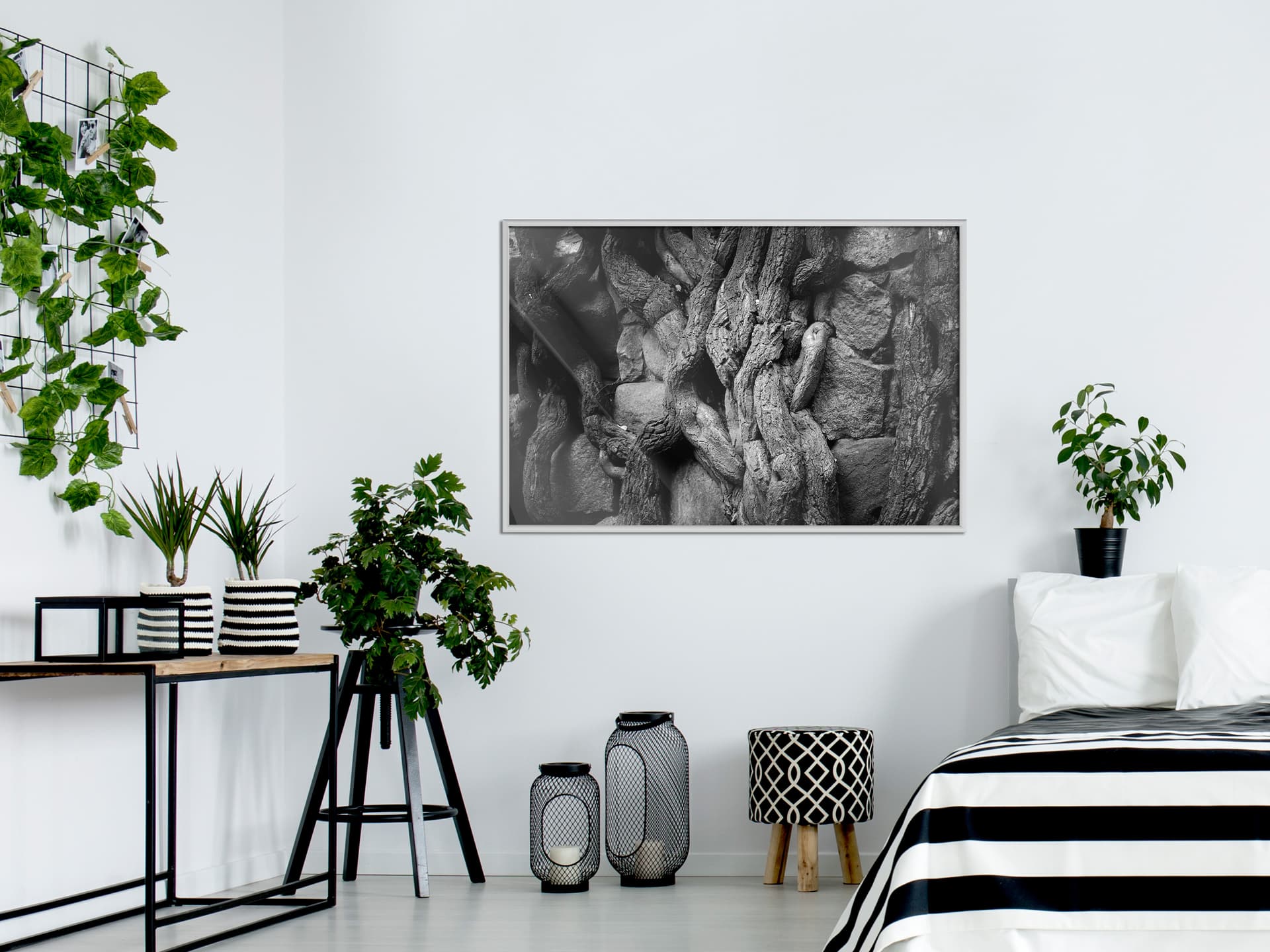 

Plakat - Silne korzenie (rozmiar 90x60, wykończenie Rama biała)