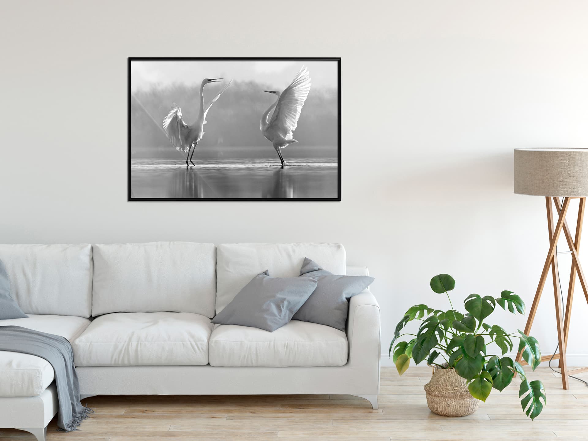 

Plakat - Czarno-białe czaple (rozmiar 30x20, wykończenie Rama czarna)